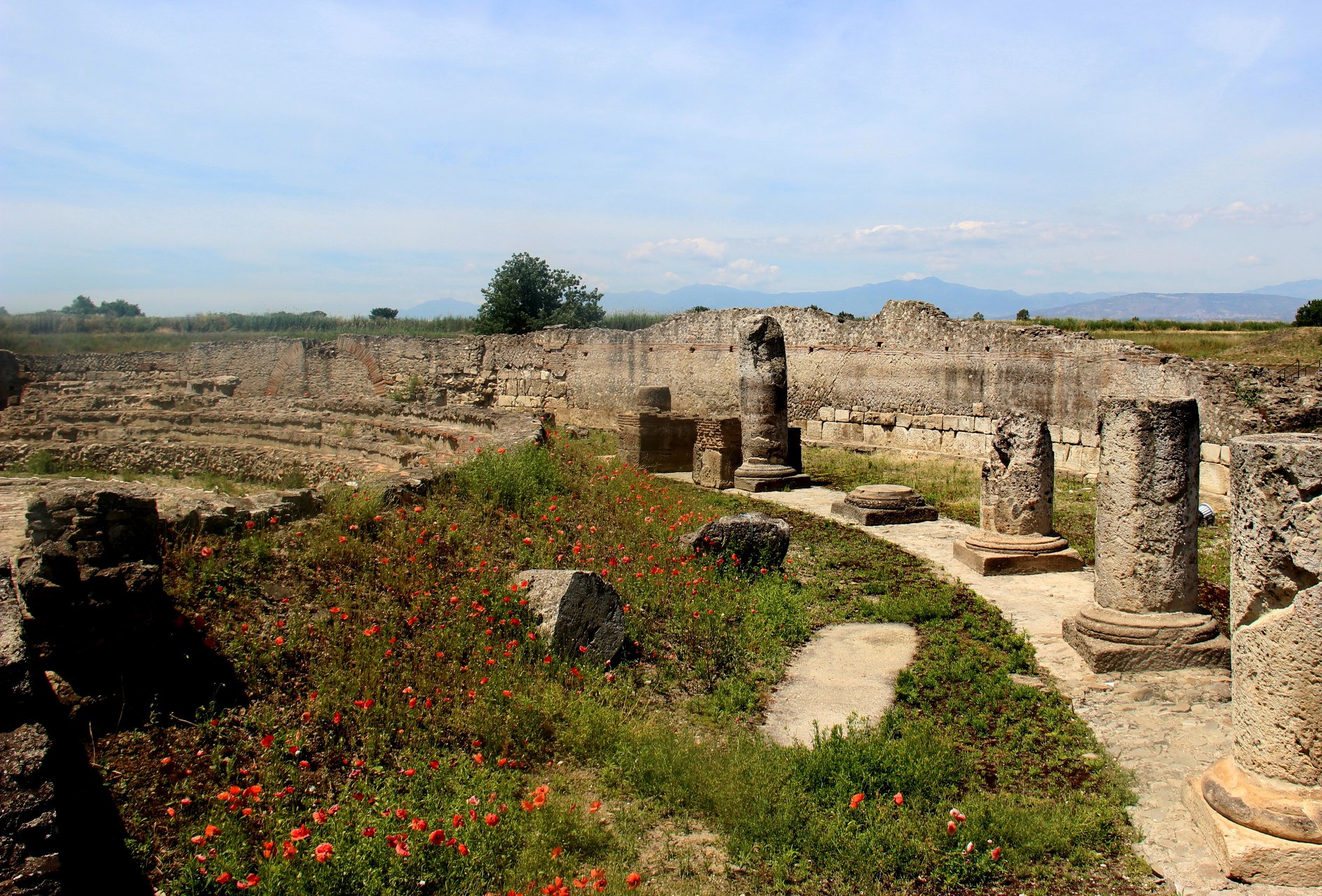 Riapre il Parco archeologico di Sibari