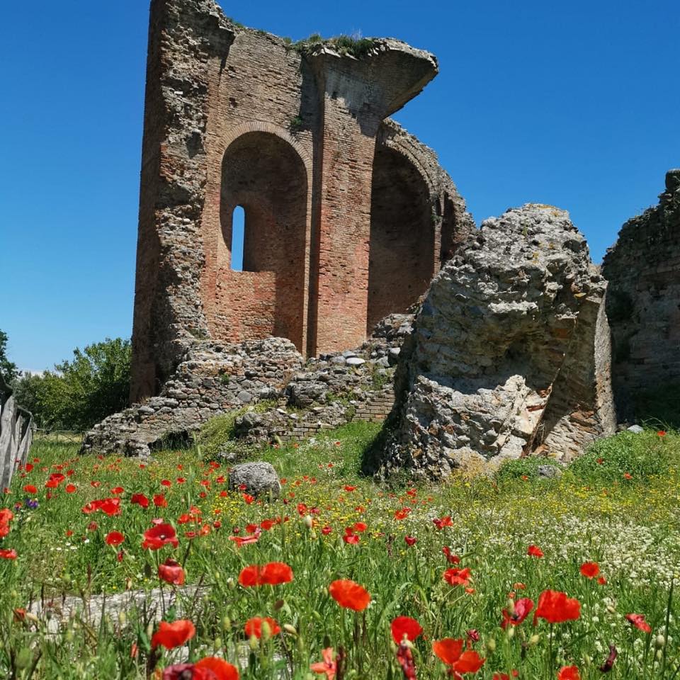 Il Museo e Parco archeologico nazionale di Scolacium a RO.ME Museum Exhibition 2020