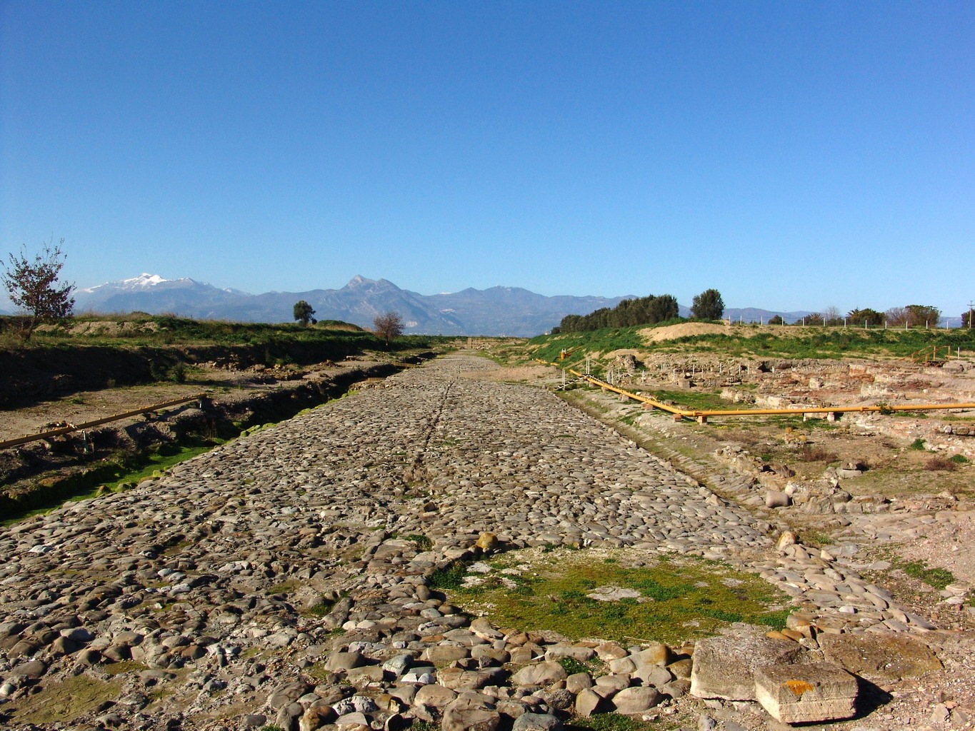 Parco archeologico di Sibari - Martedì' 15 giugno chiusa al pubblico l'area archeologica del Parco del Cavallo