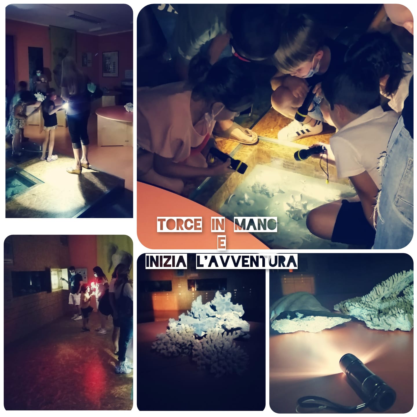 Esploratori notturni: laboratorio straordinario. Tutti inclus