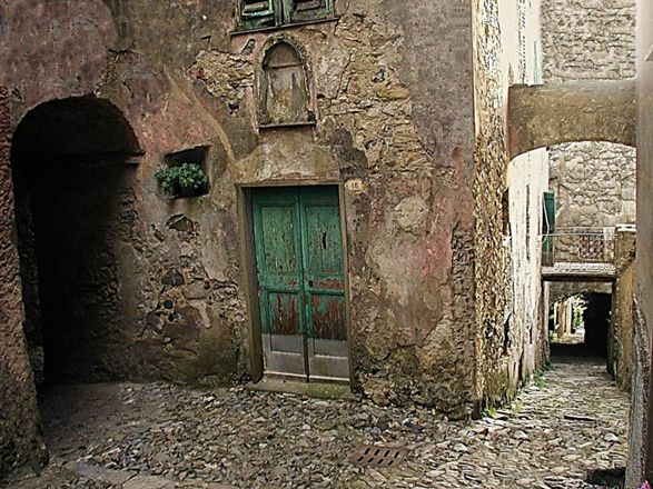 Cultura ecologica tra fuoco e incendi