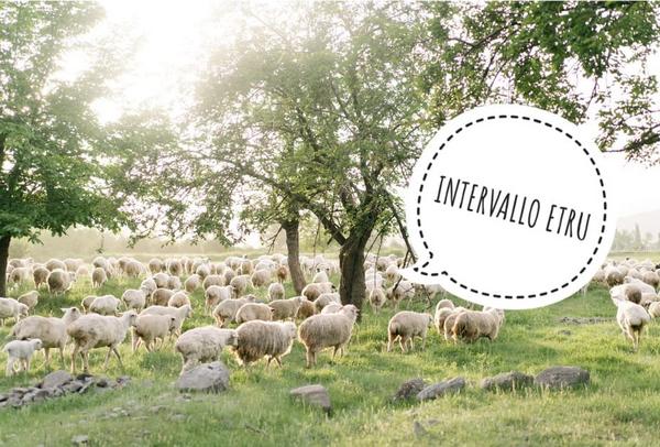 Intervallo ETRU