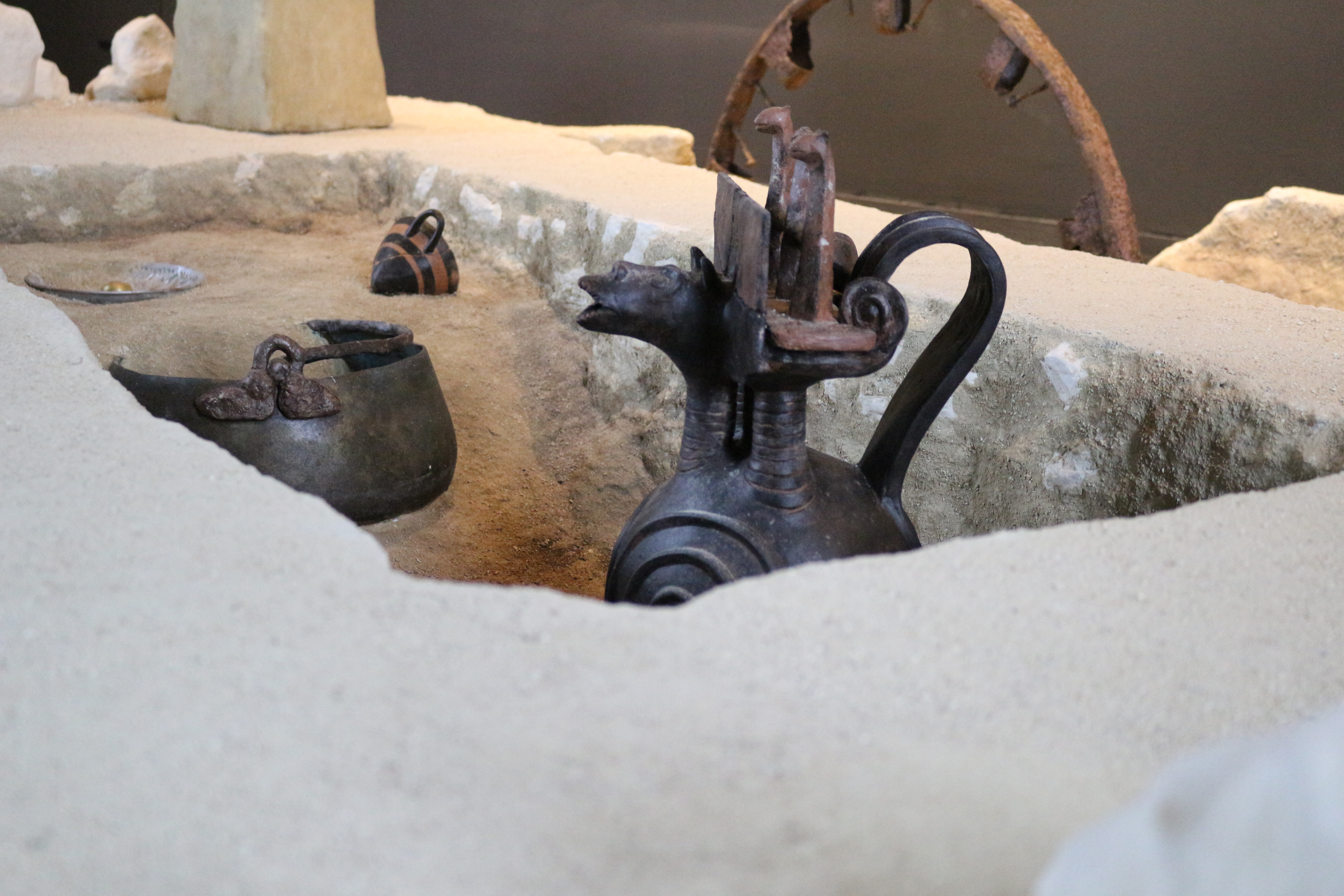 Una sera al Museo - Apertura straordinaria serale al Picenworld Museum per le GEP