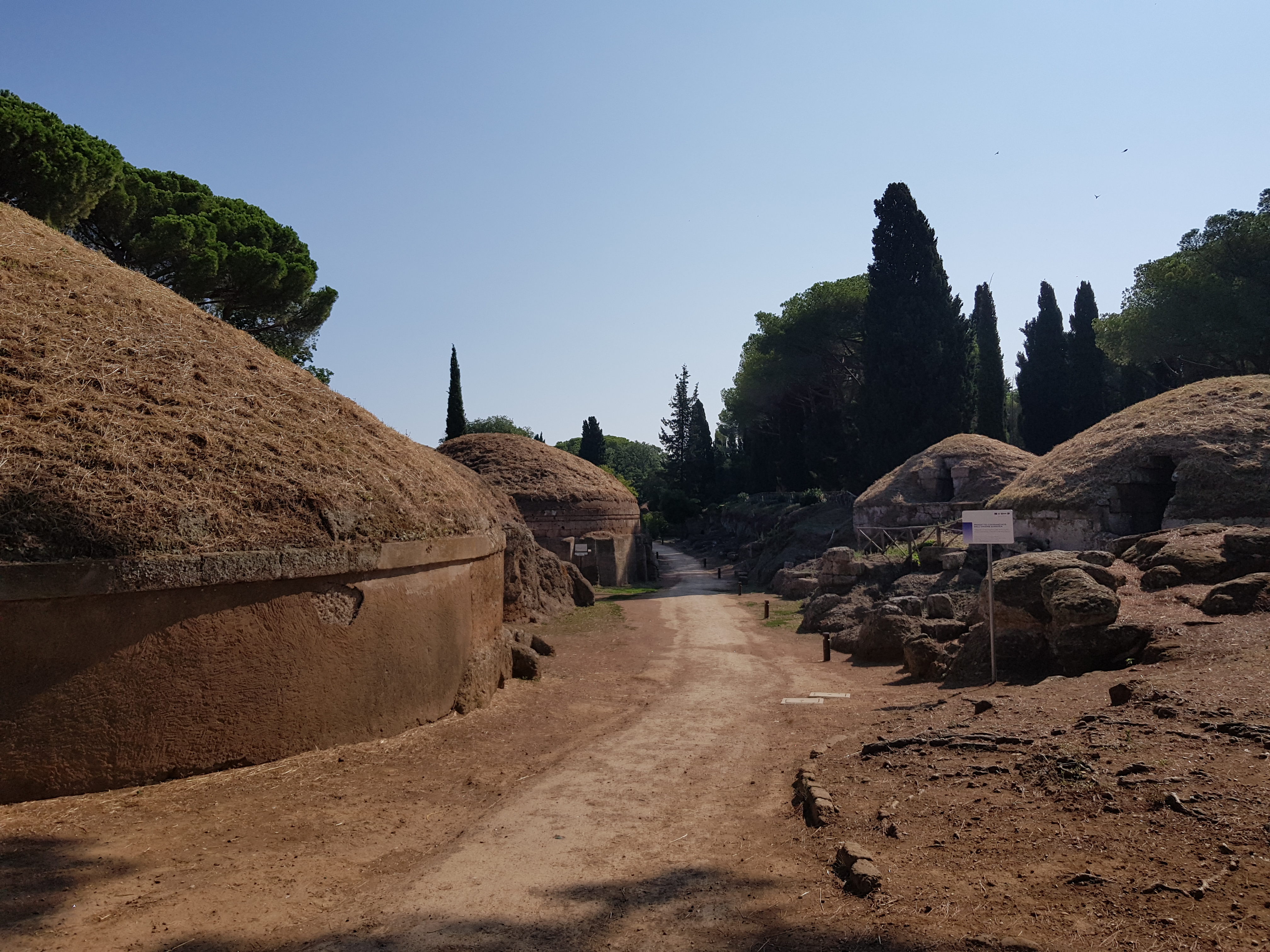 Museo Nazionale Archeologico Cerite e Necropoli della Banditaccia. Riapertura mercoledì 3 febbraio