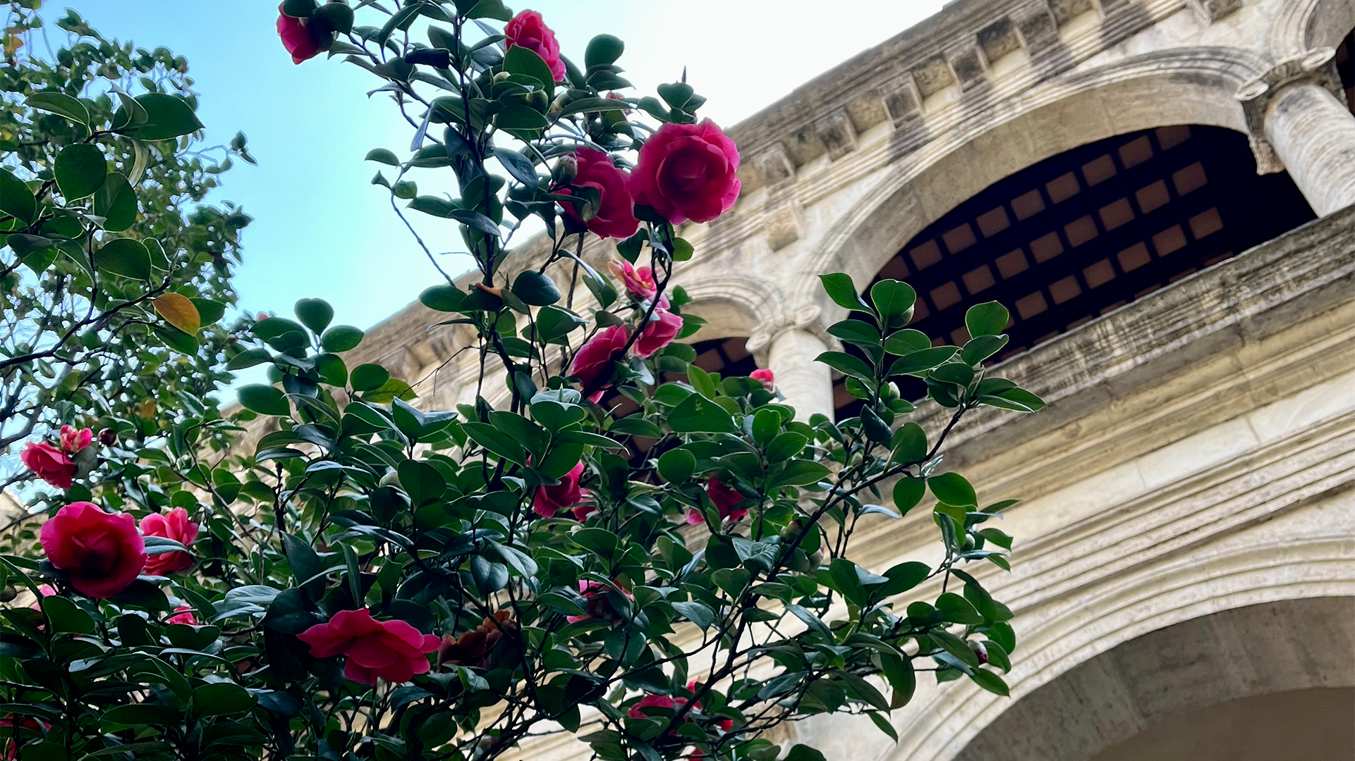 Le mille storie del VIVE – Alla scoperta di Palazzo Venezia