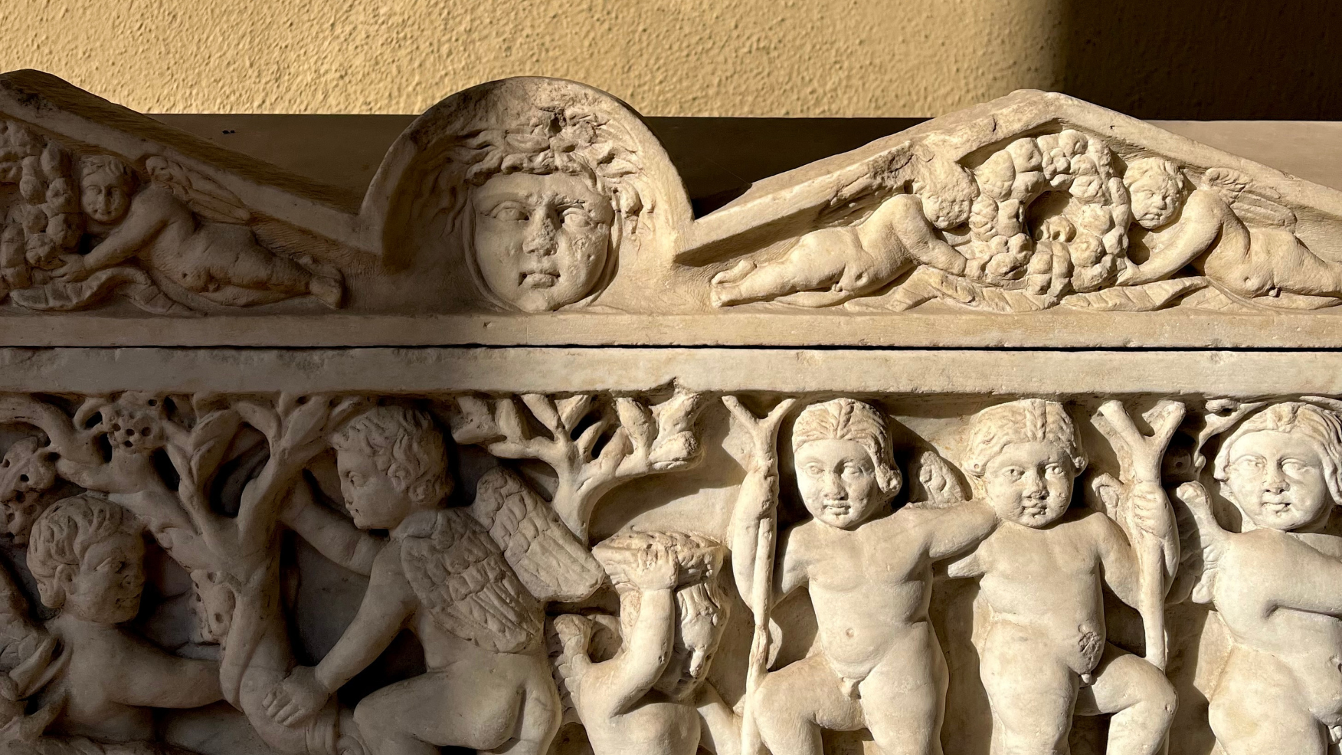 Palazzo Venezia attraverso i sensi - Arte e storia al servizio di tutti