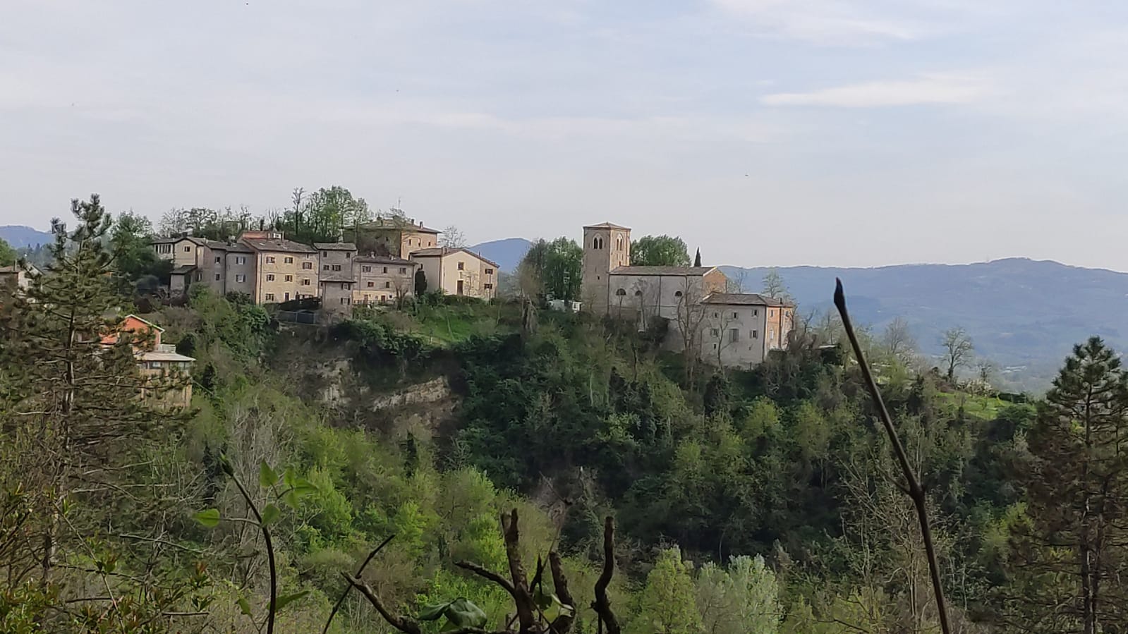 GEP 2024 Erbe di collina. Itinerario agreste tra coltivi e antichi ricettari.