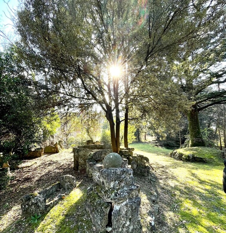 Visite guidate presso il Museo e l’area archeologica con accesso straordinario alla Necropoli Nord
