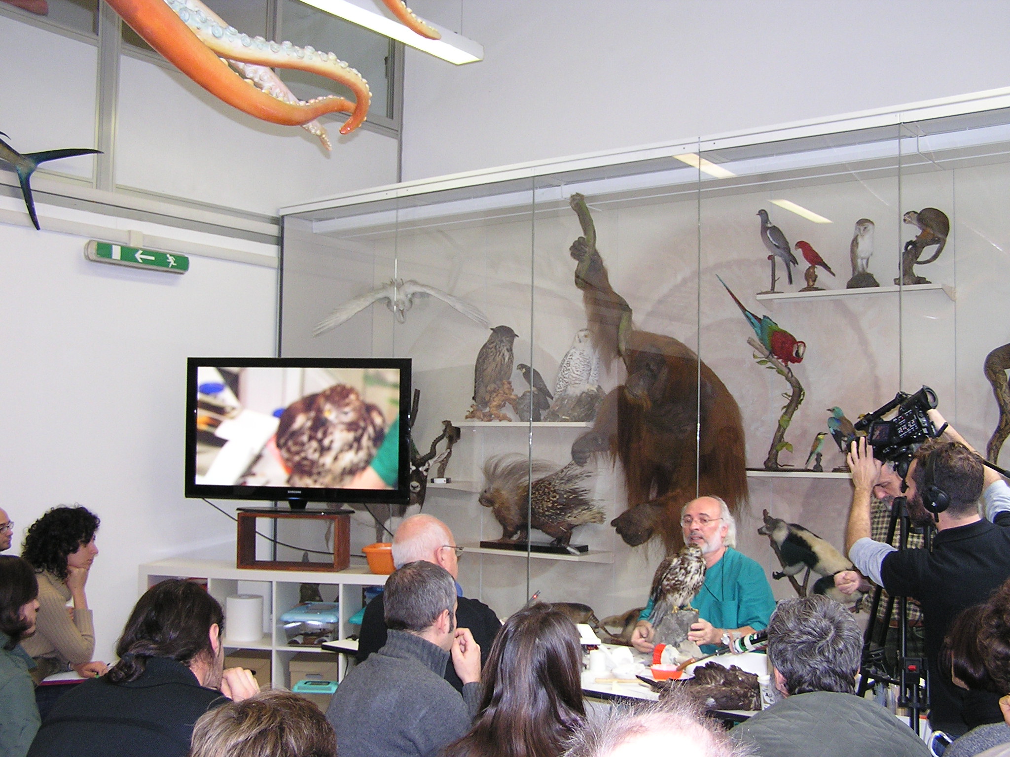 IL MUSEO IN-VITA: incontro con il tassidermista