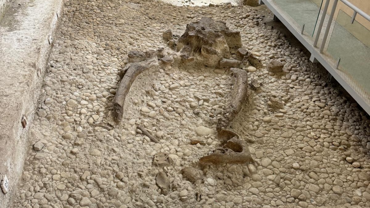 Musei e parchi archeologici di Melfi e Venosa - Parco paleolitico di Notarchirico