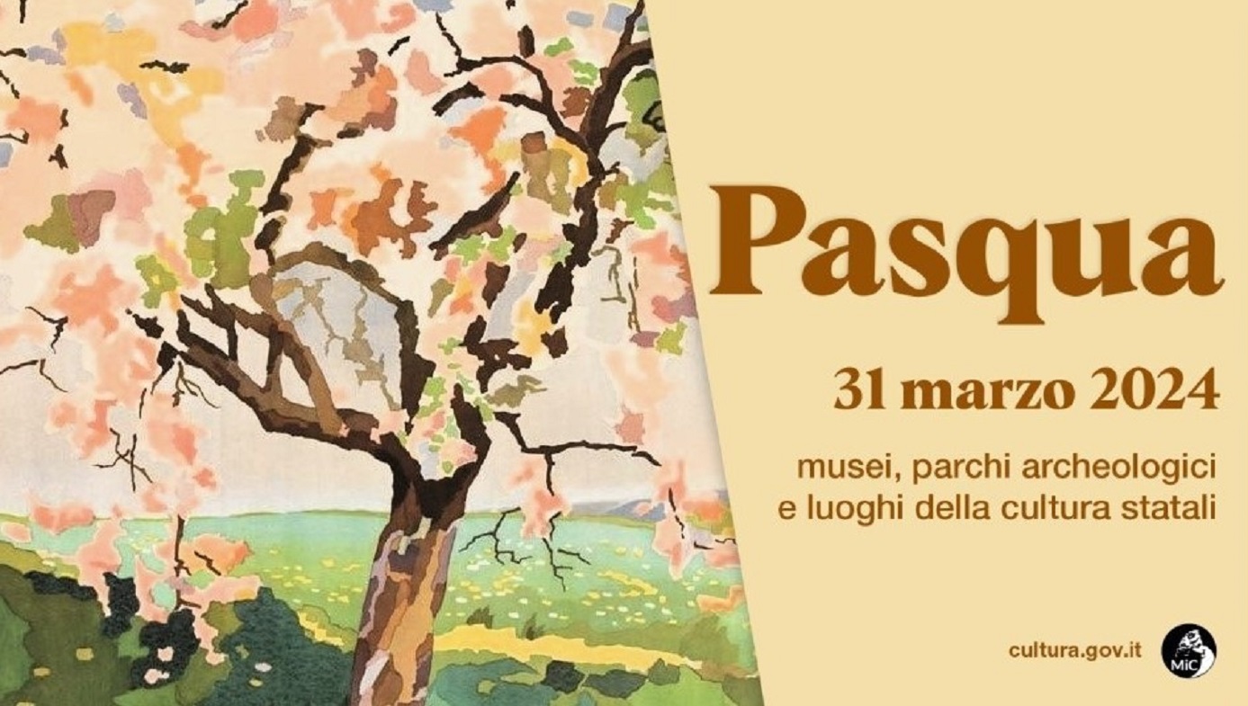 Una vita da collezionista. A tu per tu con Nando Salce