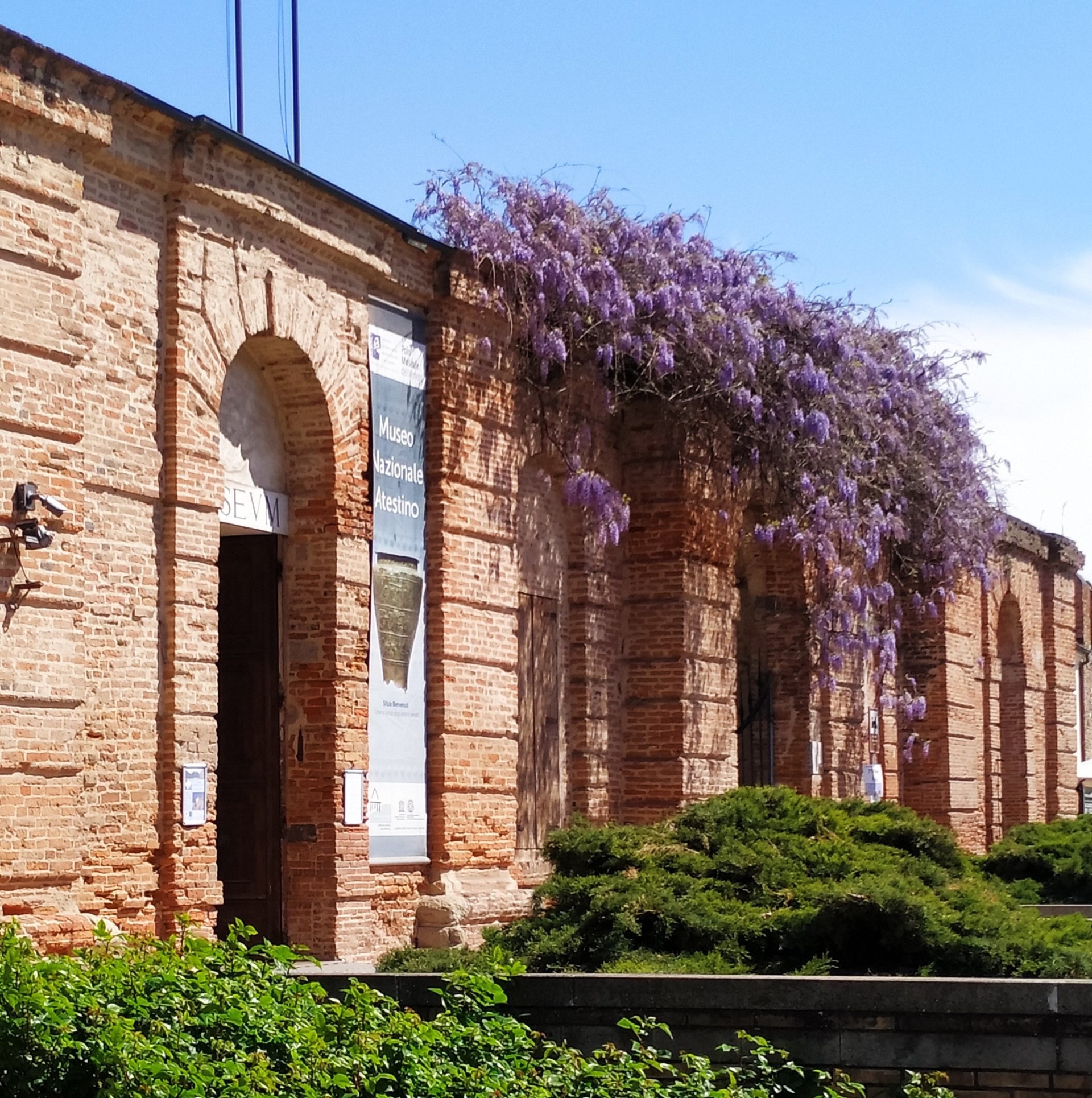 Riapre il Museo Nazionale Atestino