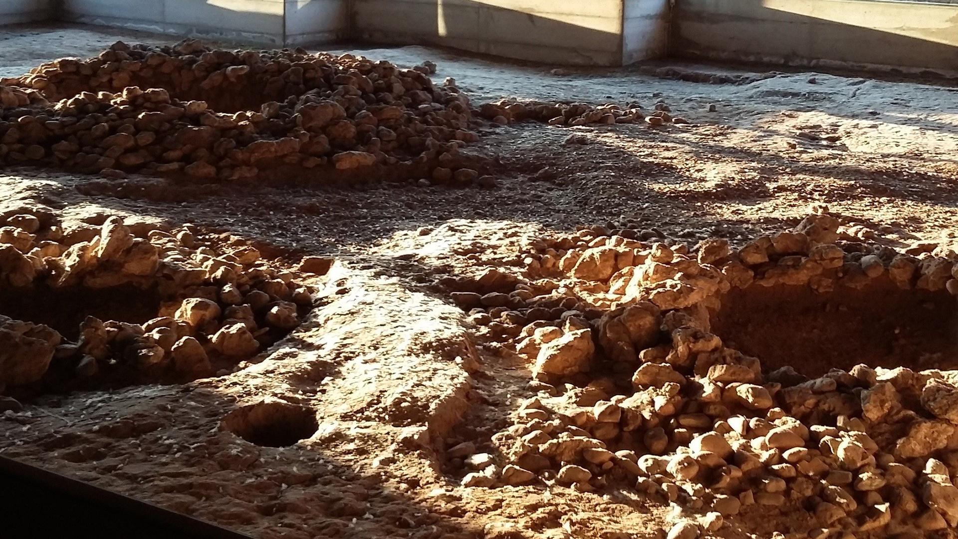 Visita guidata all’area archeologica di Sovizzo (Vicenza) | GEP 2025