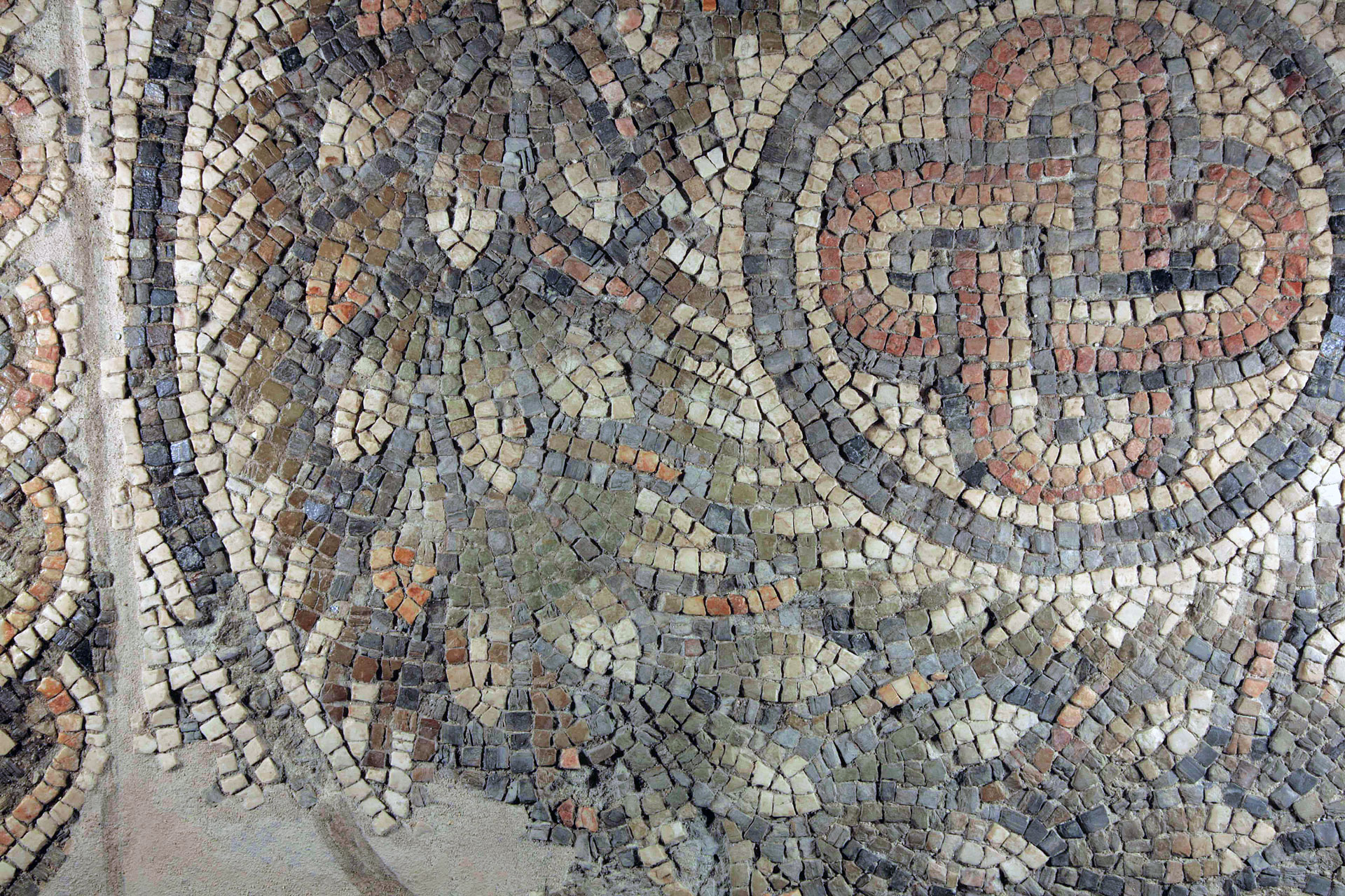 Museo e Parco archeologico 