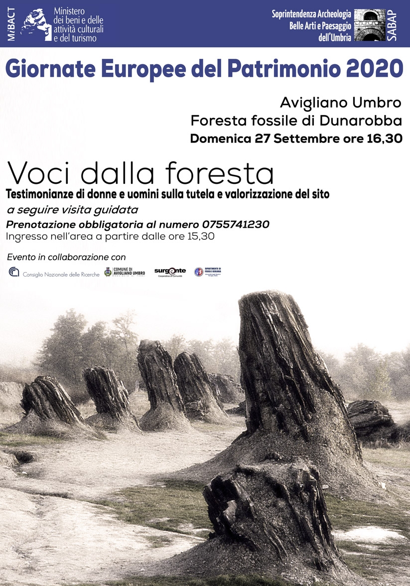 Dunarobba - Foresta Fossile