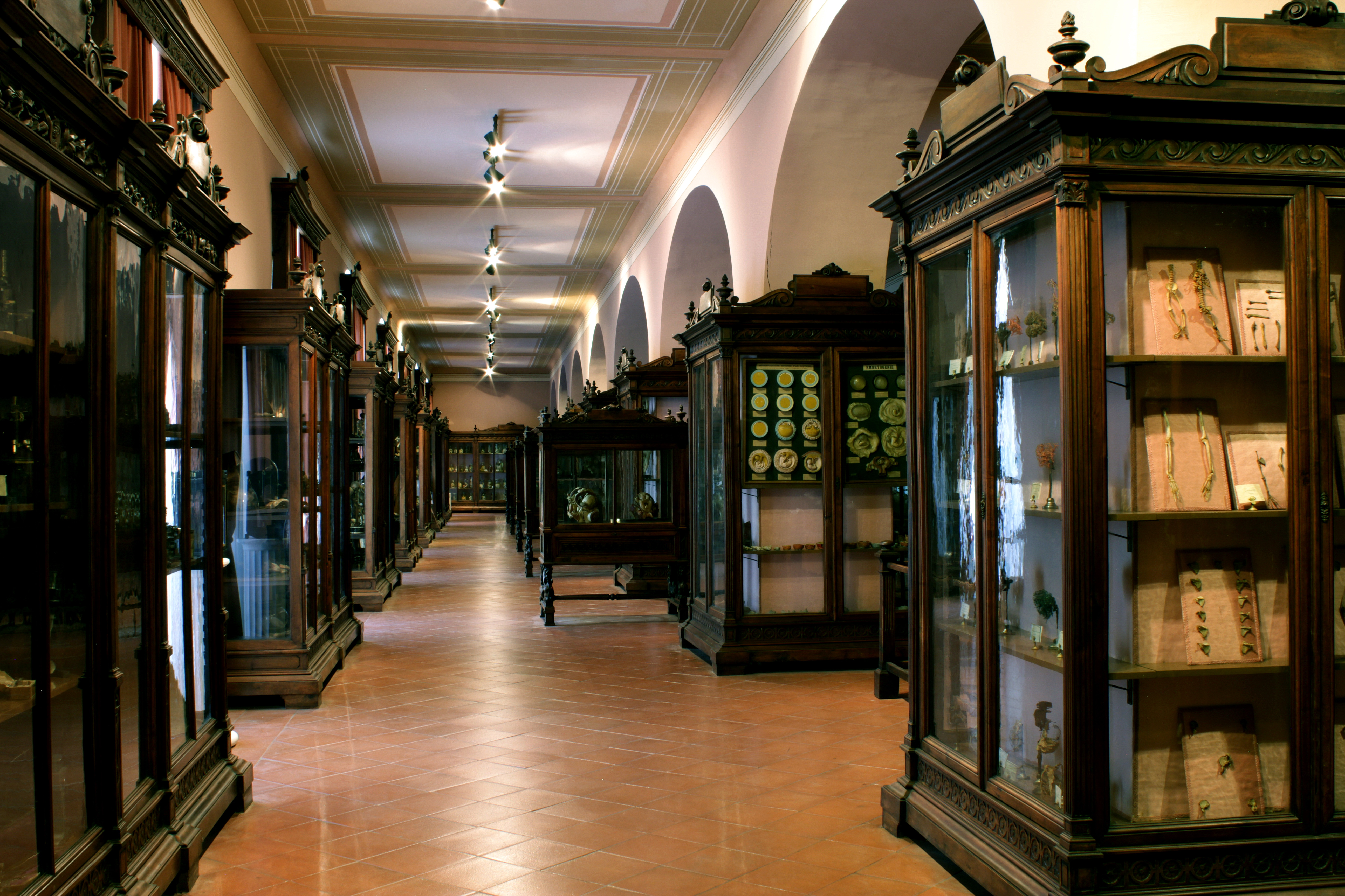 GEP 2024 - MUSA Museo Anatomico Complesso di Santa Patrizia