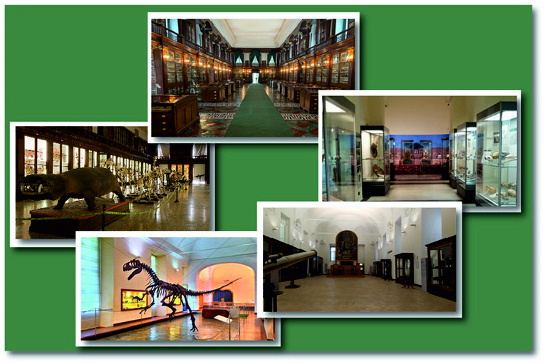 GEP 2024 - Apertura straordinaria del Centro Musei delle Scienze Naturali e Fisiche