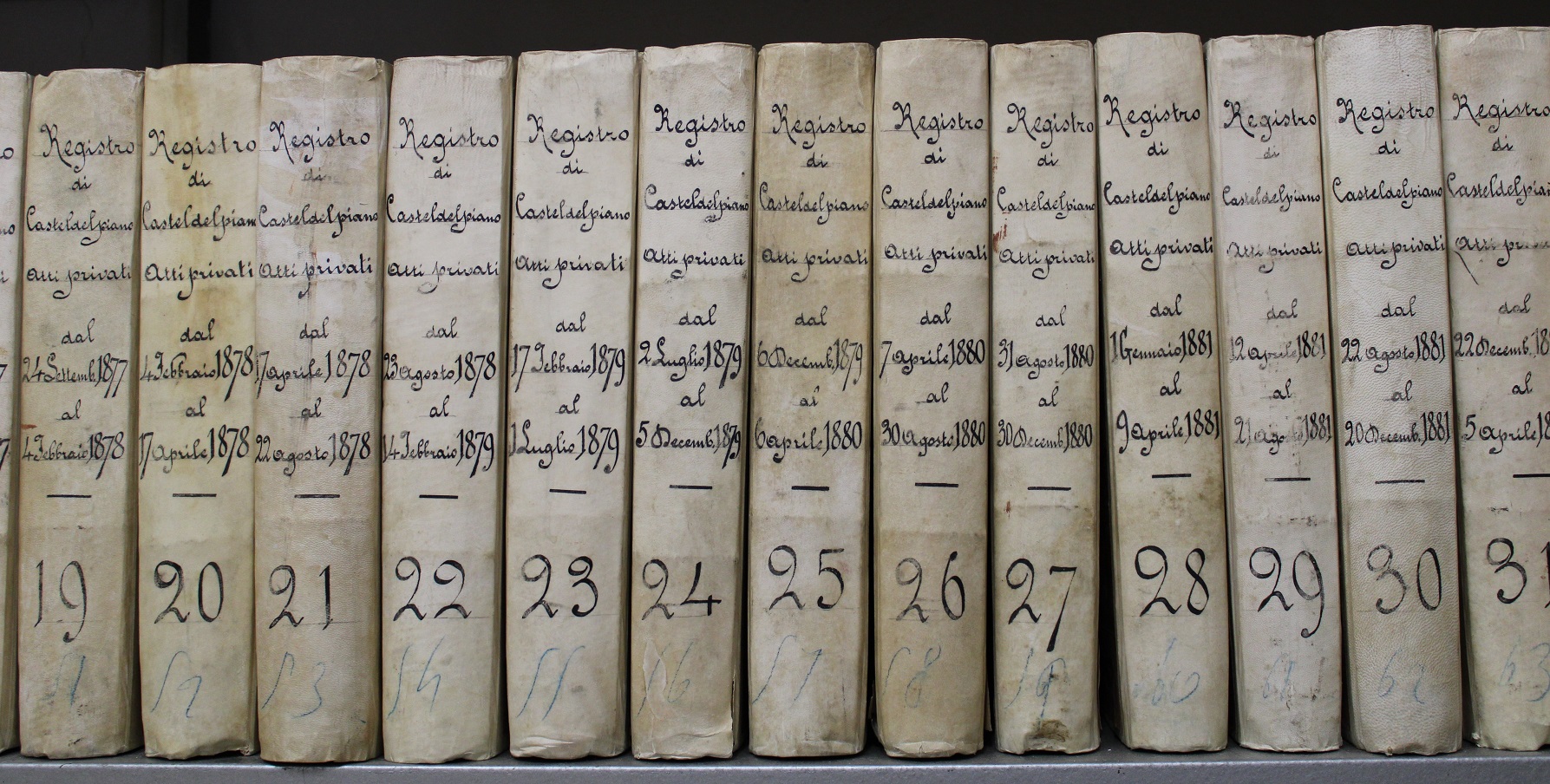 Giornate Europee del Patrimonio 2021 - Una guida per l'Archivio... All inclusive!