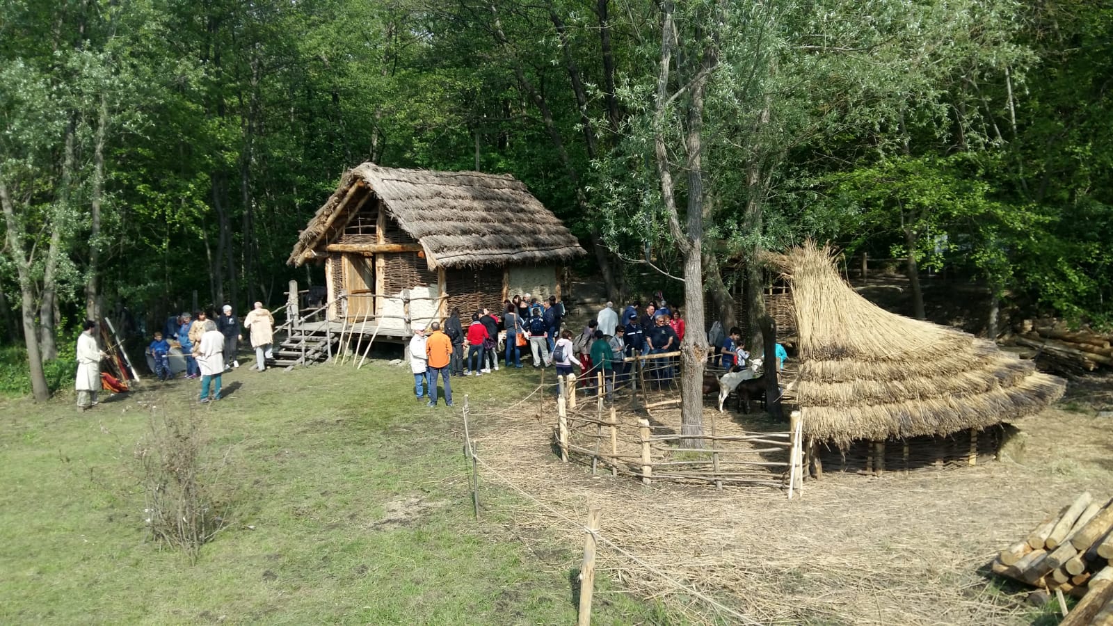 visita guidata tematica