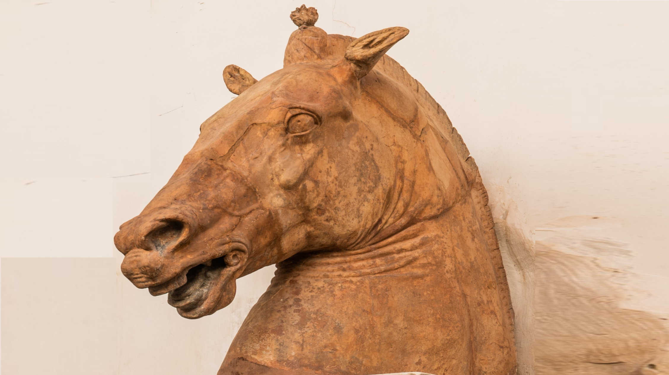GEP 2025. Apertura straordinaria del piano nobile di palazzo Diomede Carafa “I cavalli di Palazzo Carafa”