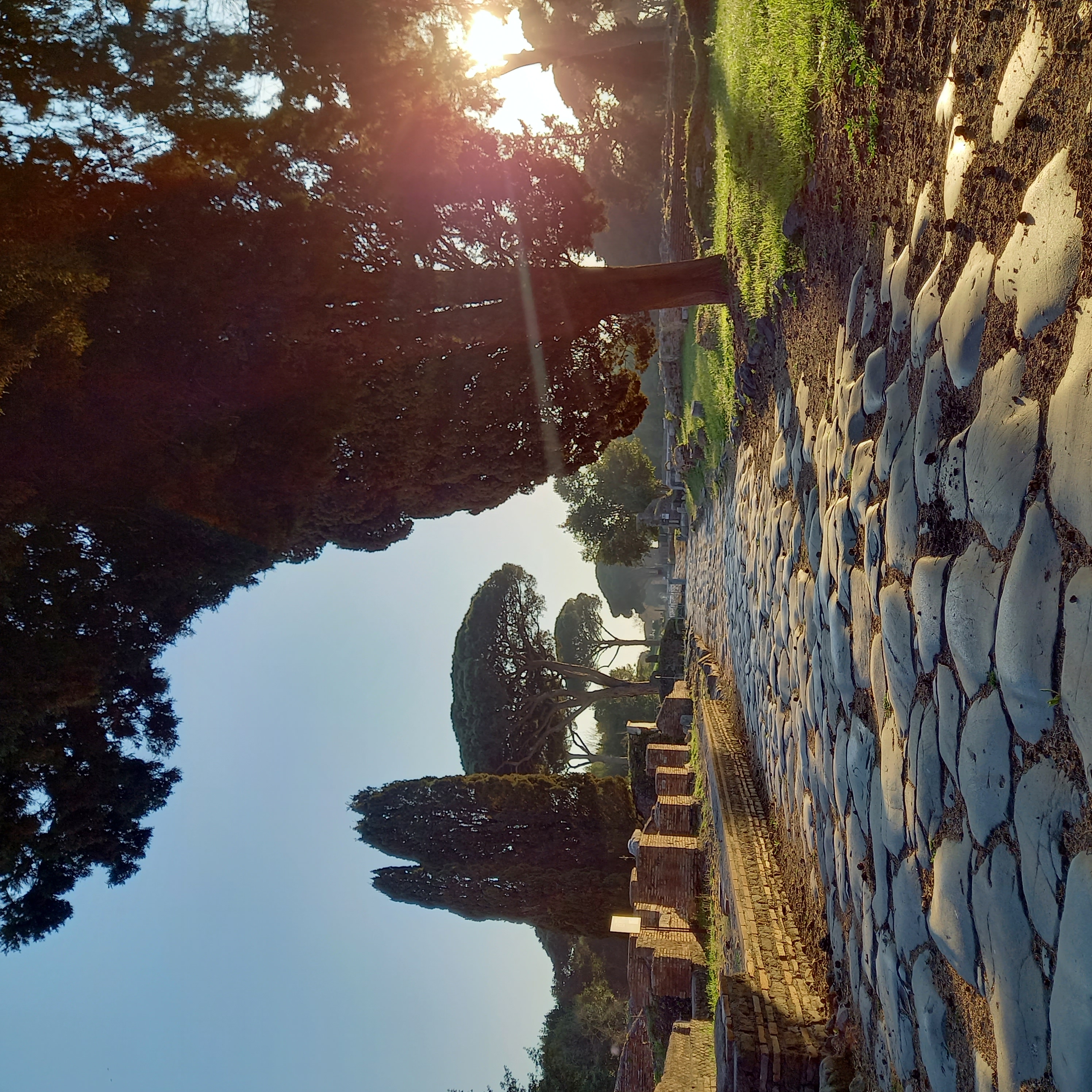 Pasquetta a Ostia antica