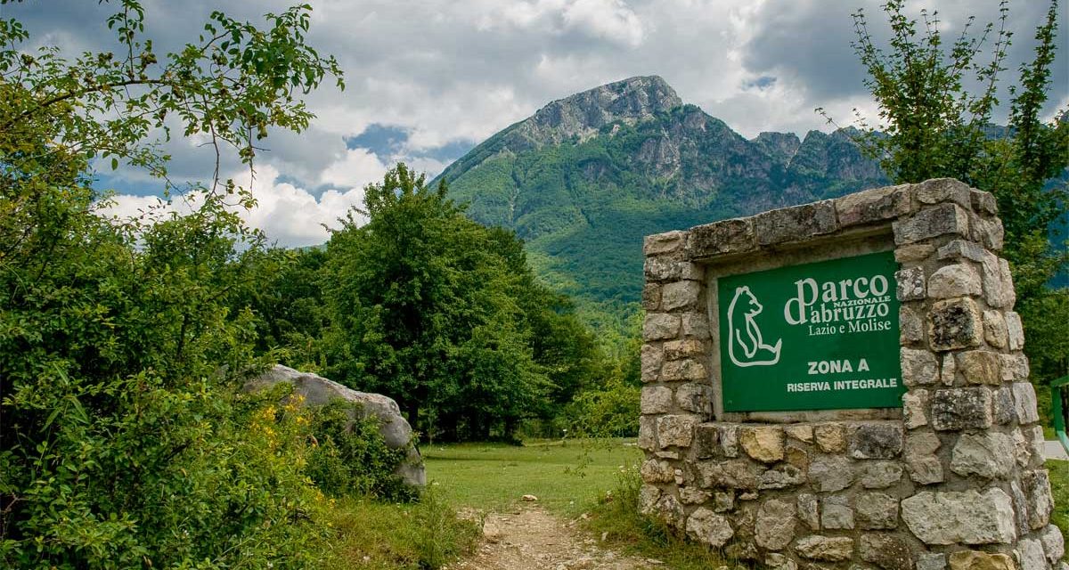 Raccolte del Centro Studi Ecologici Appenninici