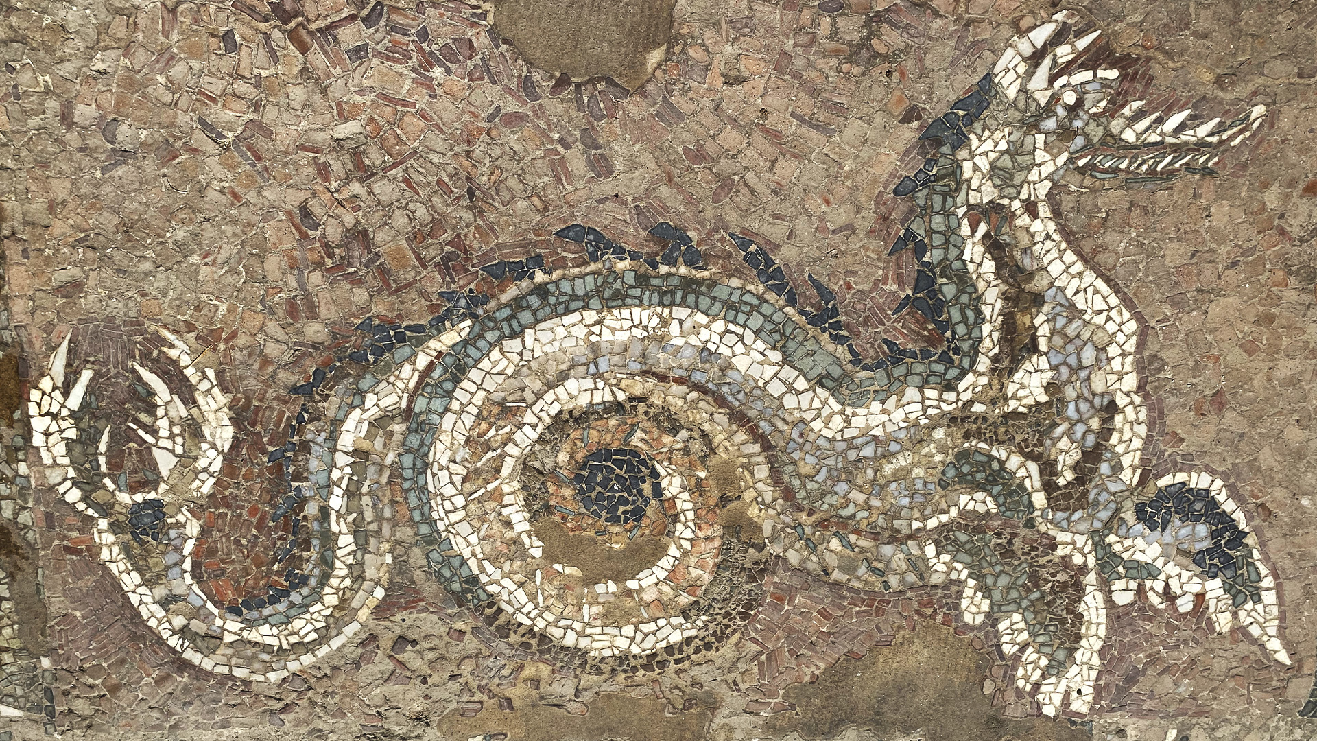 Museo e Parco archeologico dell'antica Kaulonìa - Mosaico pavimentale delle Terme di Nannon. Sala dei draghi delfini e ippocampo