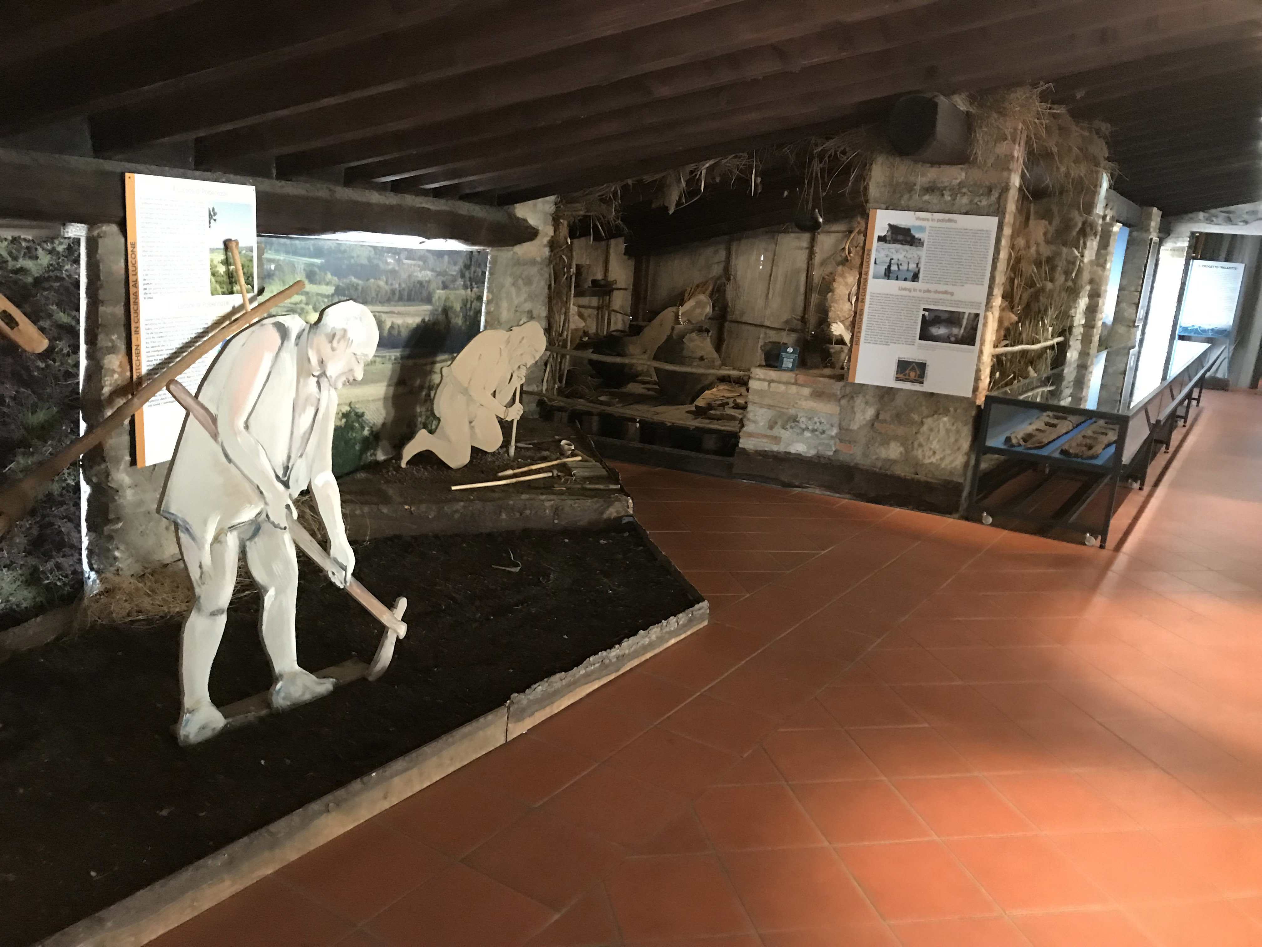 Il Direttore racconta. Storie di un sito palafitticolo di 4000 anni fa: il Lucone di Polpenazze
