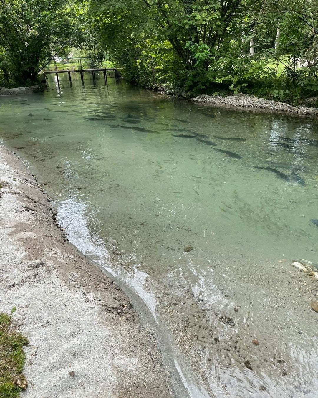 Passeggiata rigenerante nell'acqua