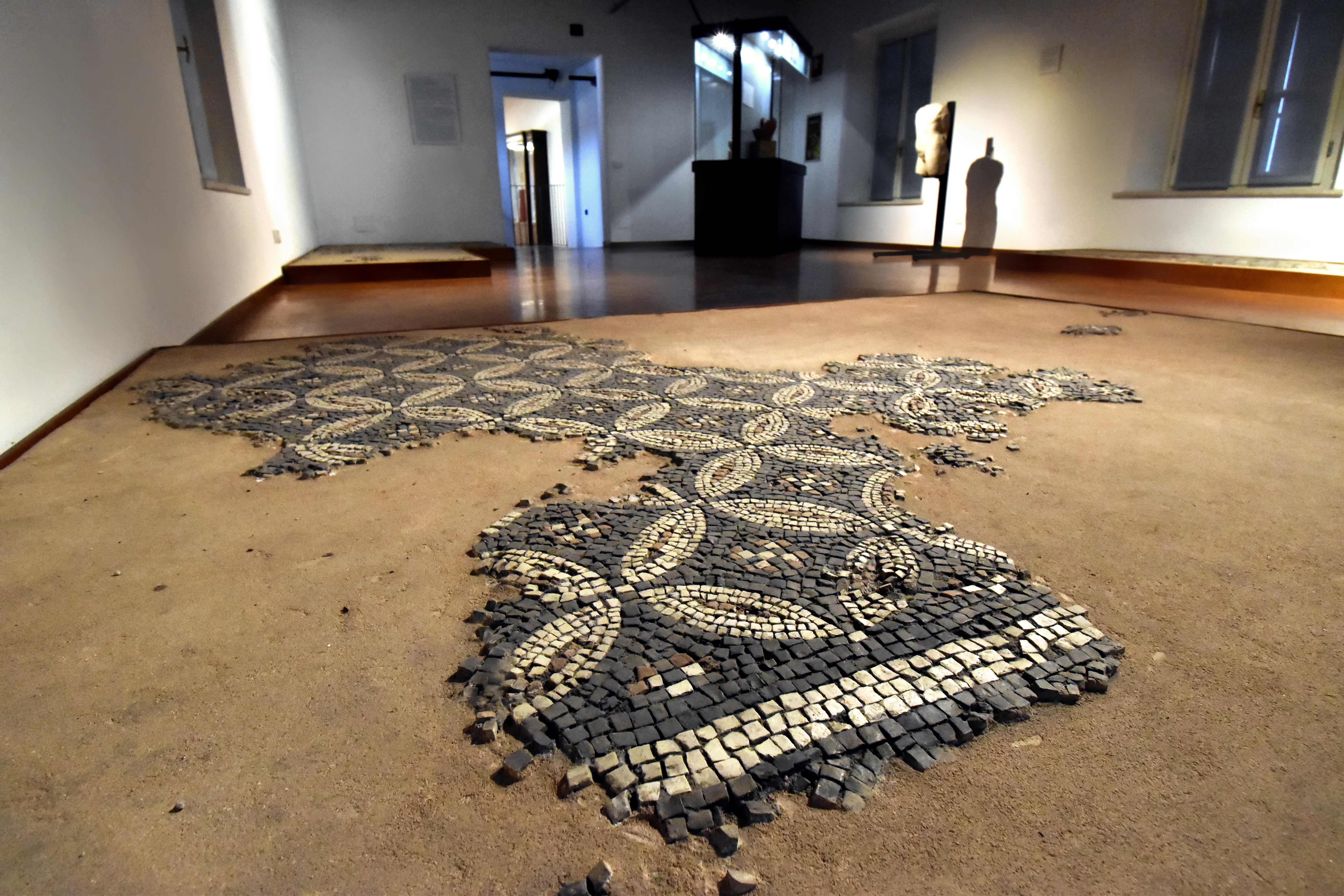 Giornate Europee del Patrimonio 2023. Apertura notturna del Museo Civico di Crema e del Cremasco e visita guidata ai nuovi allestimenti