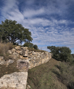 Apertura straordinaria area archeologica di Roselle