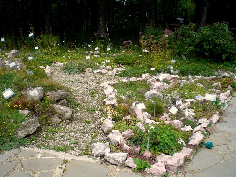 Giardino botanico Alpino "Esperia"