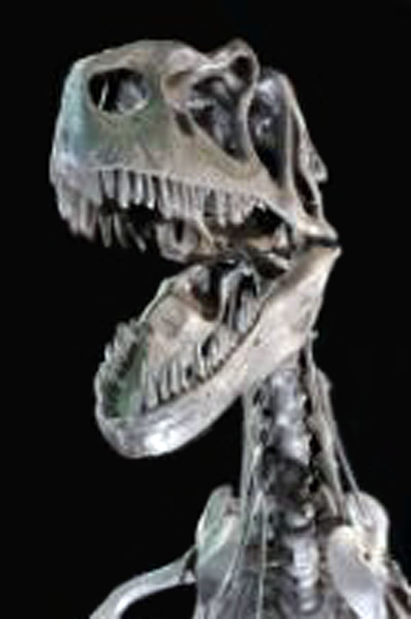 Museo universitario di paleontologia