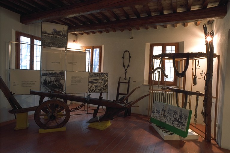 Museo della frutticoltura Adolfo Bonvicini