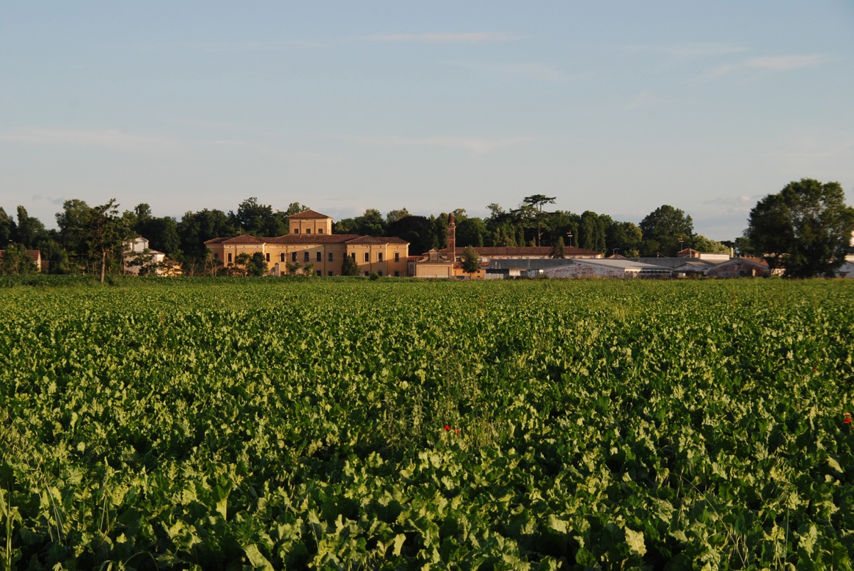 GEP 2023. IL GIARDINO ROMANTICO DI VILLA STROZZI SI RACCONTA – 23-24 settembre 2023 con eventi di animazione, visite guidate e performance di land art.
