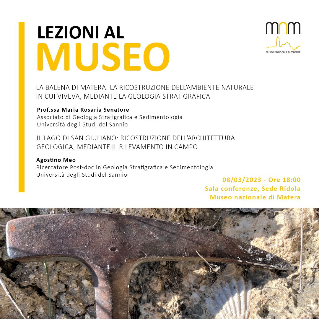 Lezioni al Museo – “La Balena di Matera. La ricostruzione dell’ambiente naturale in cui viveva, mediante la geologia stratigrafica”