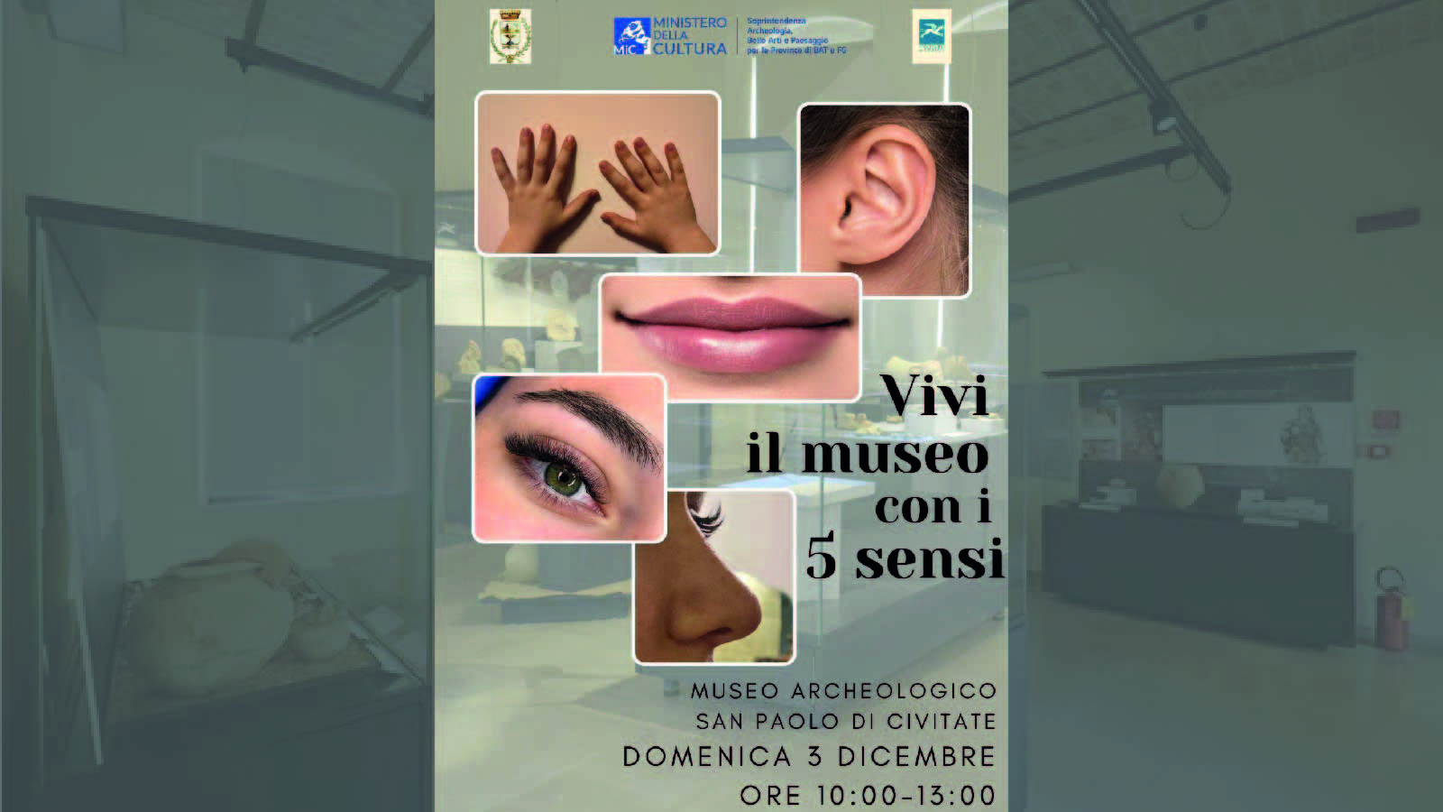 “Un giorno all’anno tutto l’anno”. Vivi il Museo con i 5 sensi