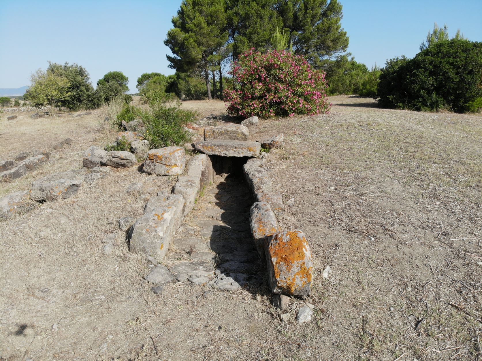 Dimore dell’ombra in Marmilla