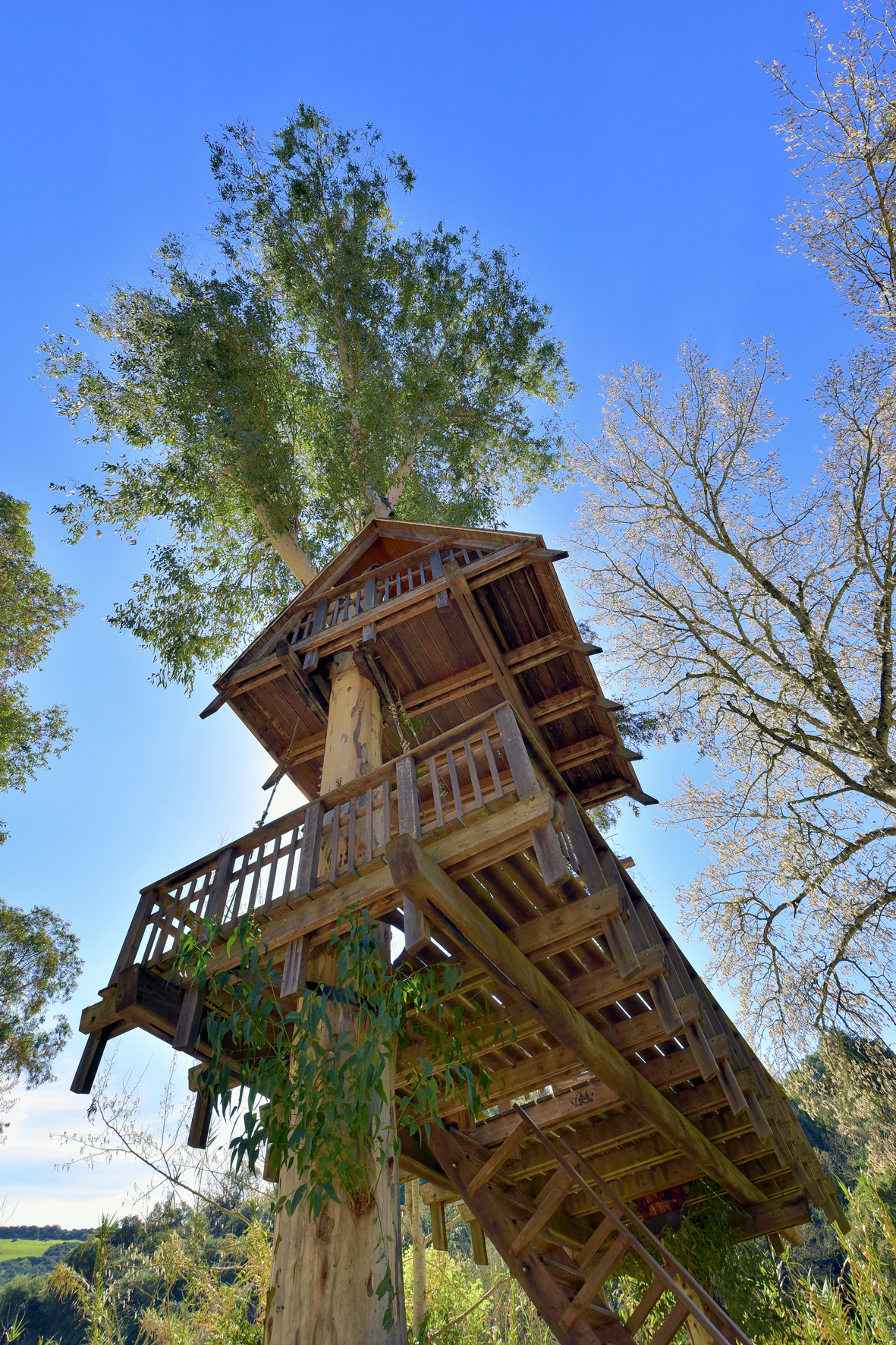 Visite guidate al CiMA – Civico Museo Allai