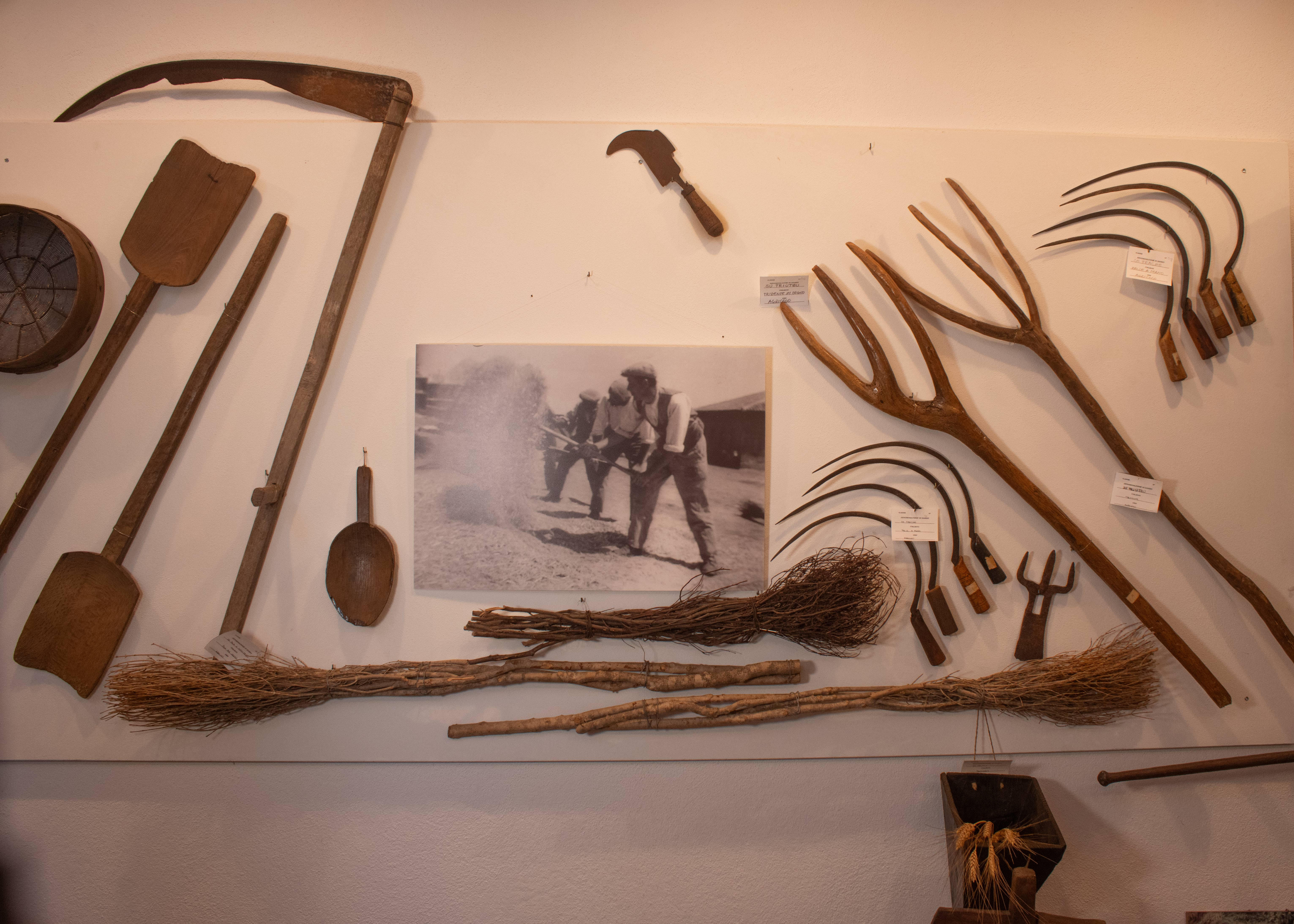 Visita guidata al Museo Etnografico “Le cose della vita”