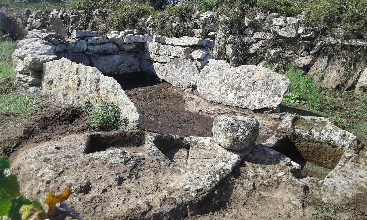Il vino in palmento. La storia dei vini antichi di Ardauli