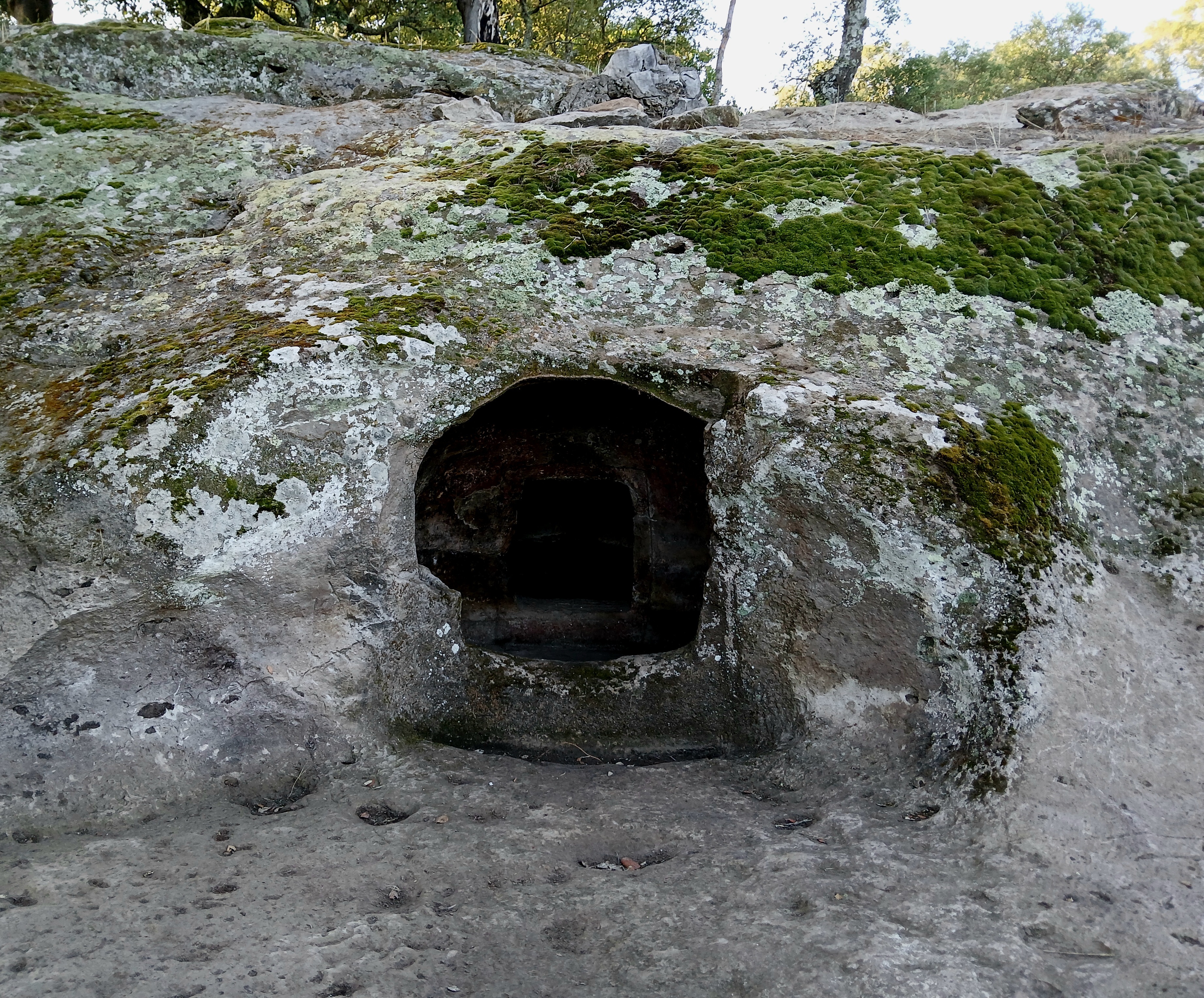 Il paesaggio di Mandras. Testimonianze di vita (palmenti rupestri e pinnettos) e morte (domus de janas) nel territorio della Tomba Dipinta di Mandras.