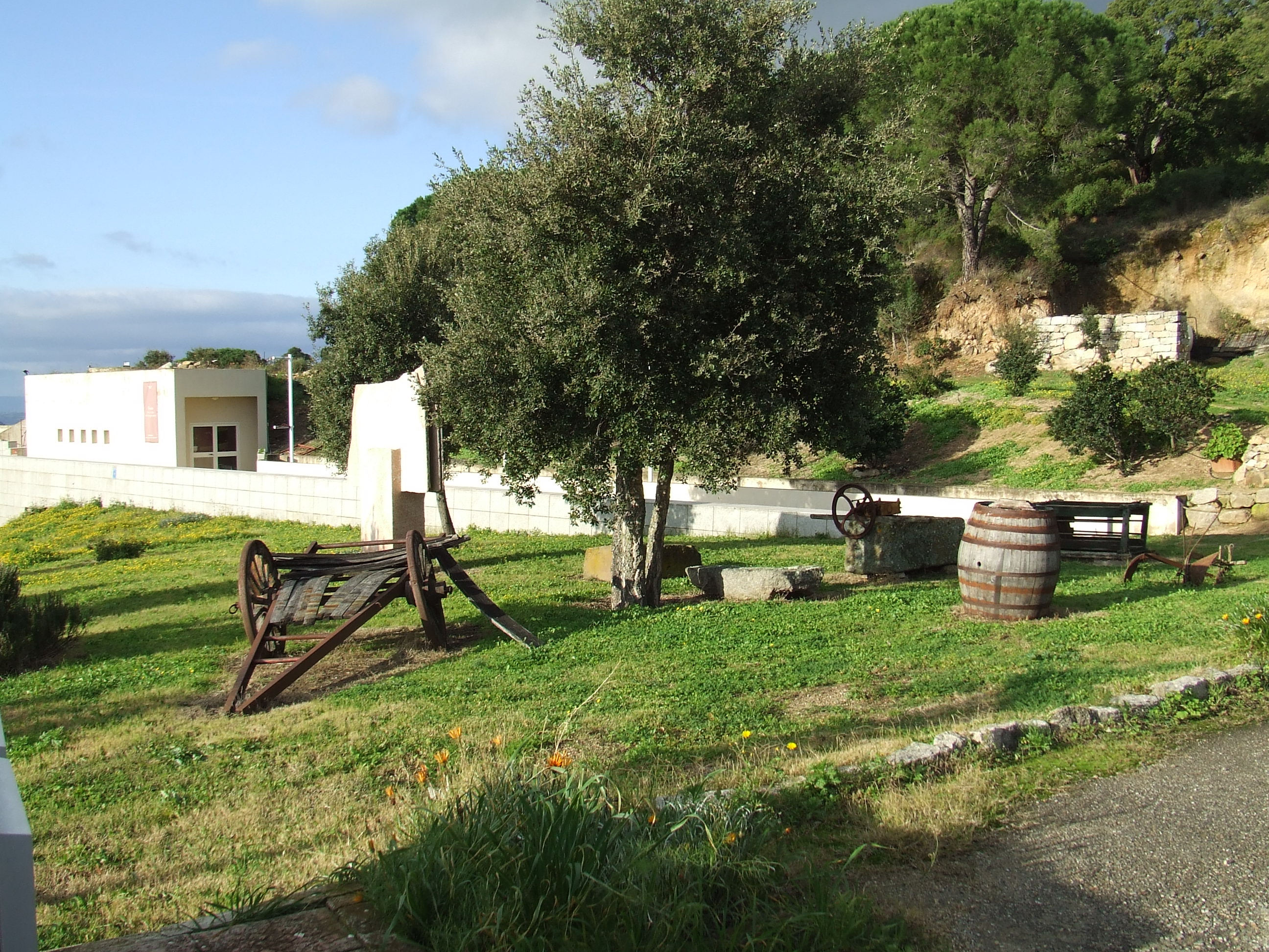 Il Cammino delle Donne del Vino: un percorso di vini, luoghi, cultura e musica