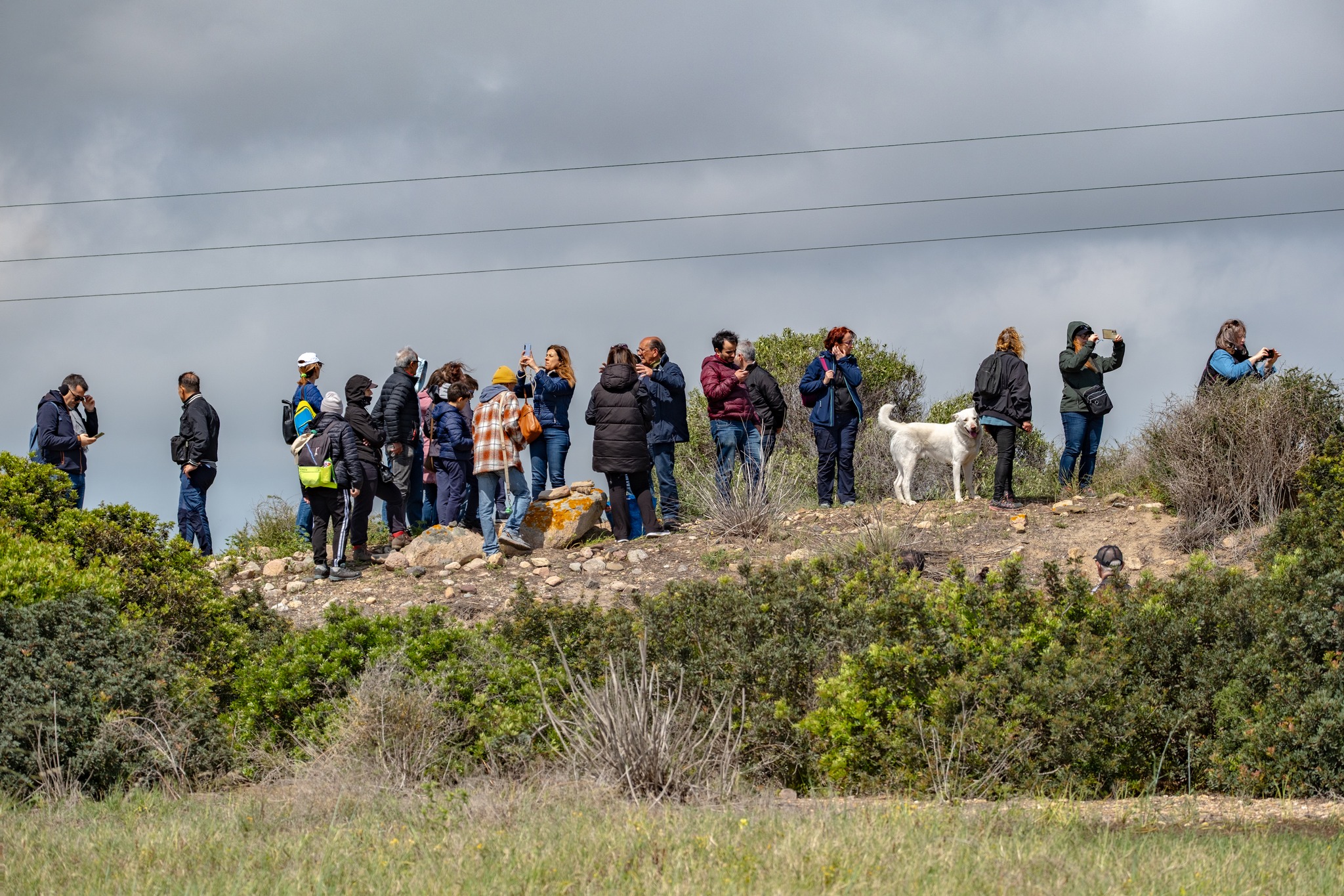 Costruzioni neolitiche a Cuccuru Ibba nella laguna di Santa Gilla fra i Comuni di Assemini e Capoterra