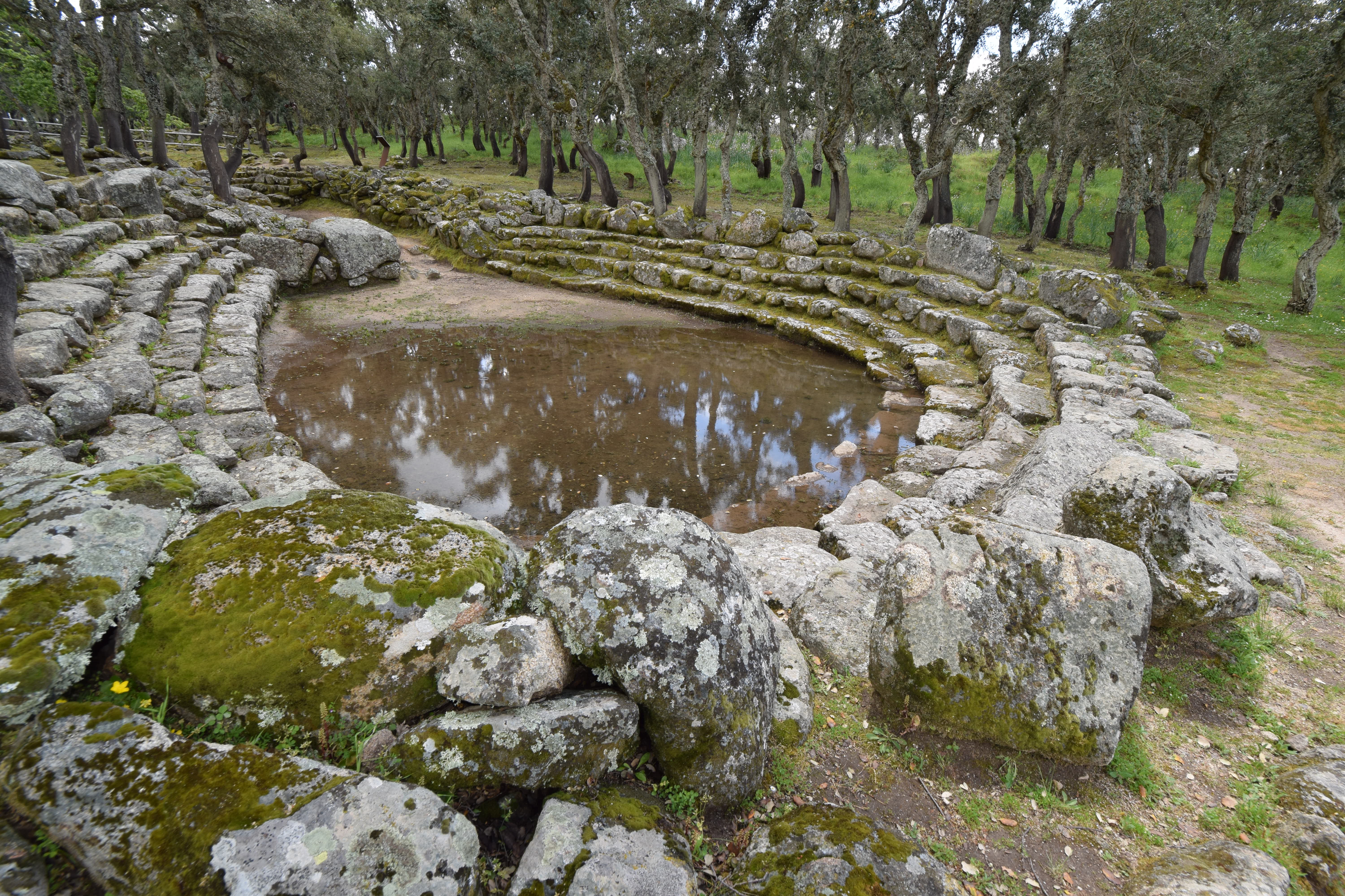 Visite guidate al Complesso nuragico di Romanzesu, Museo della civiltà pastorale e contadina e Museo multimediale del canto a tenore