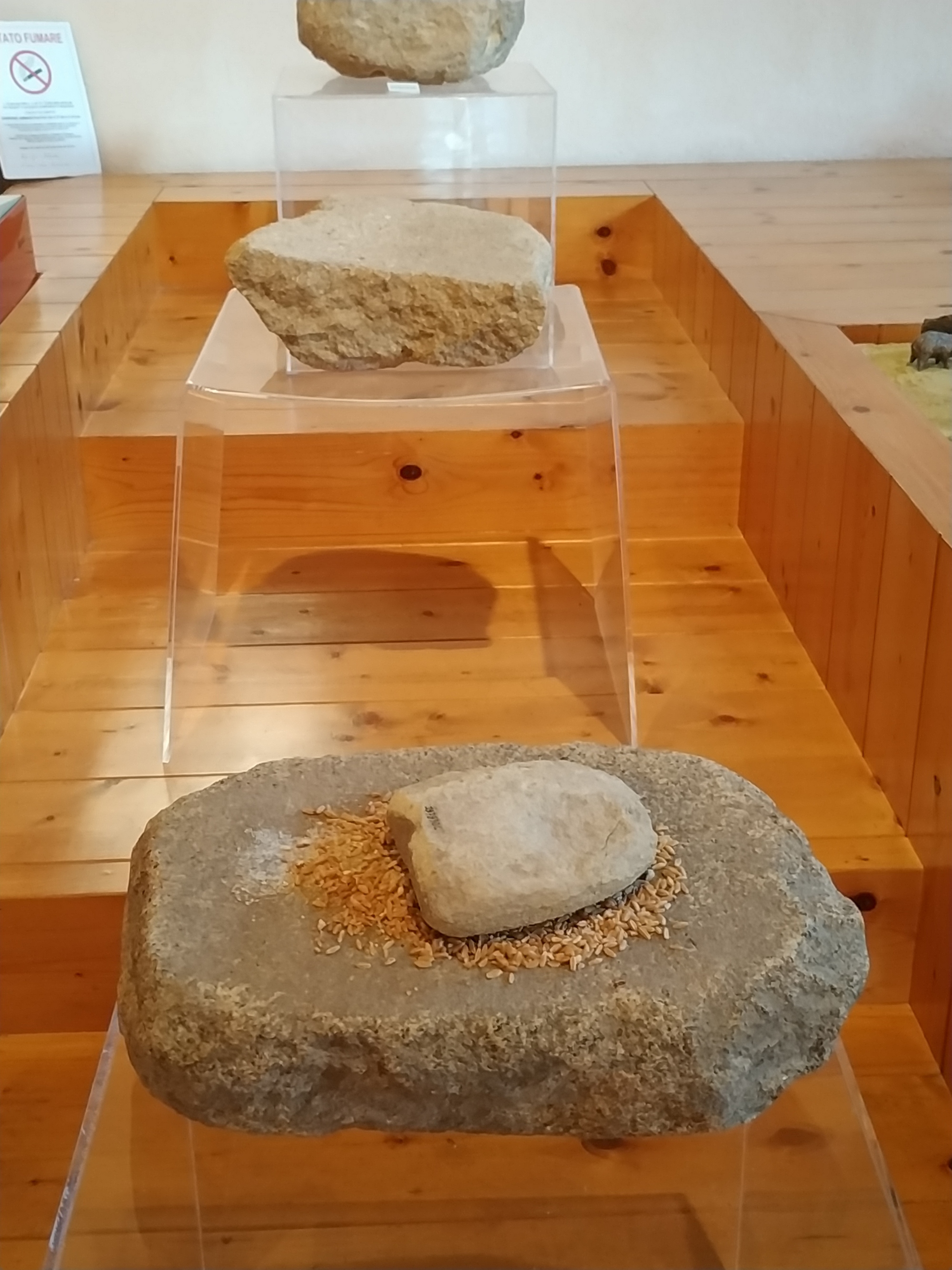 5.000 anni fa Su Coddu/Canelles a Selargius. La prima età del rame in un villaggio preistorico della Sardegna