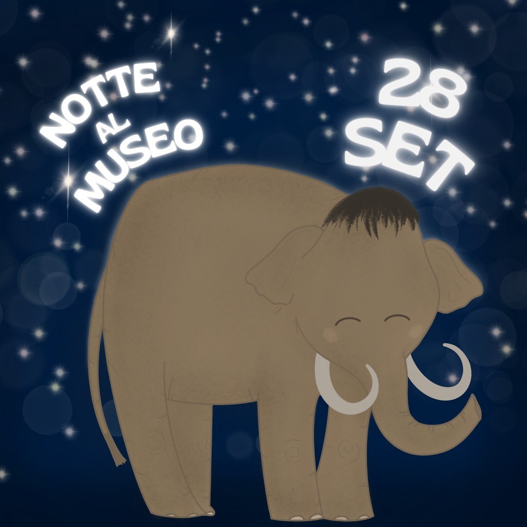 Giornate Europee del Patrimonio 2024: Museo Paleontologico Luigi Boldrini di Pietrafitta, evento serale