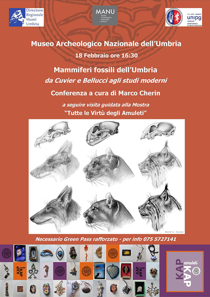 Mammiferi fossili dell'Umbria. Da Cuvier a Bellucci agli studi moderni.