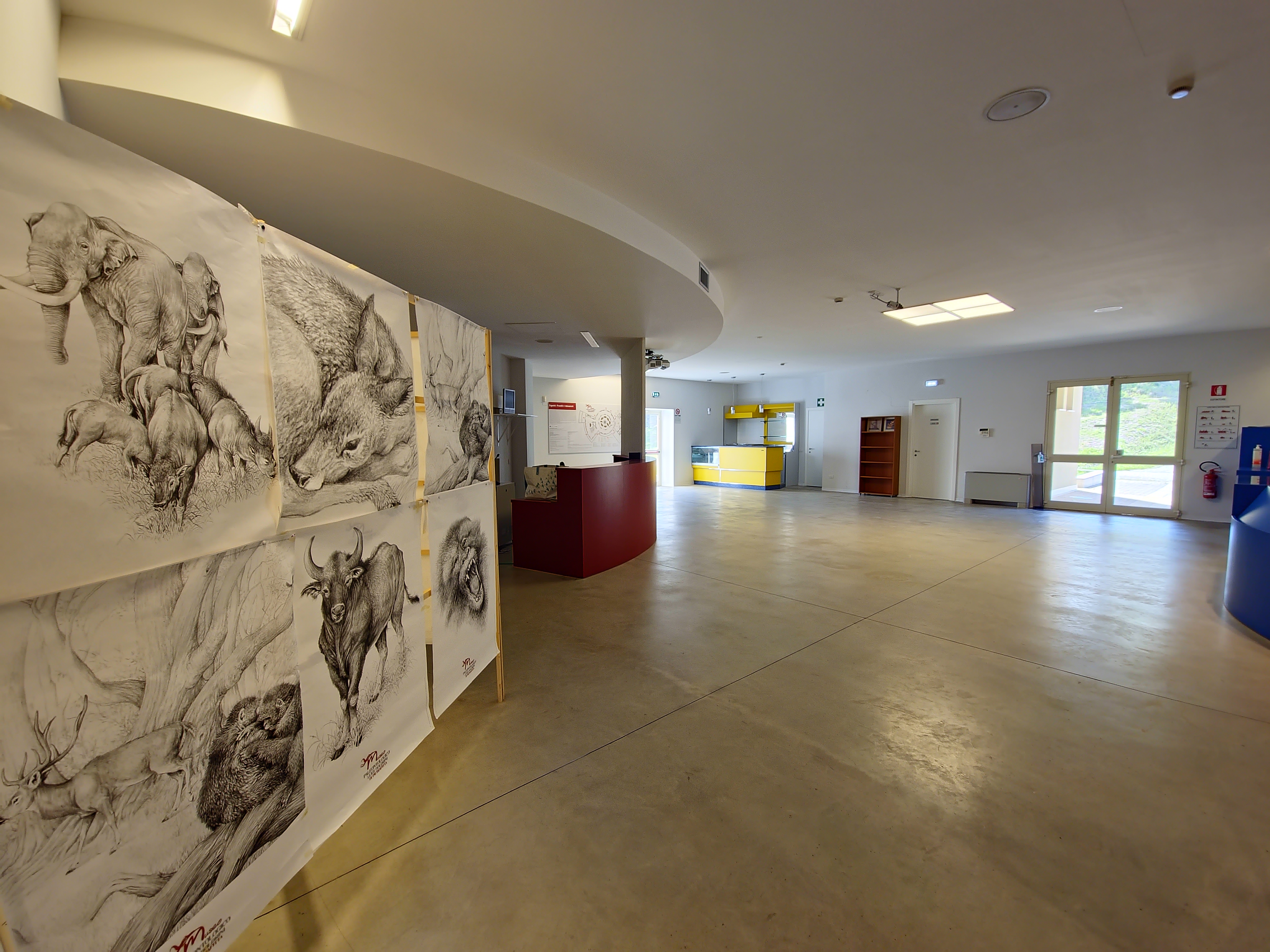 Aperture al Museo paleontologico "Luigi Boldrini" di Pietrafitta dal 25 al 31 dicembre 2023