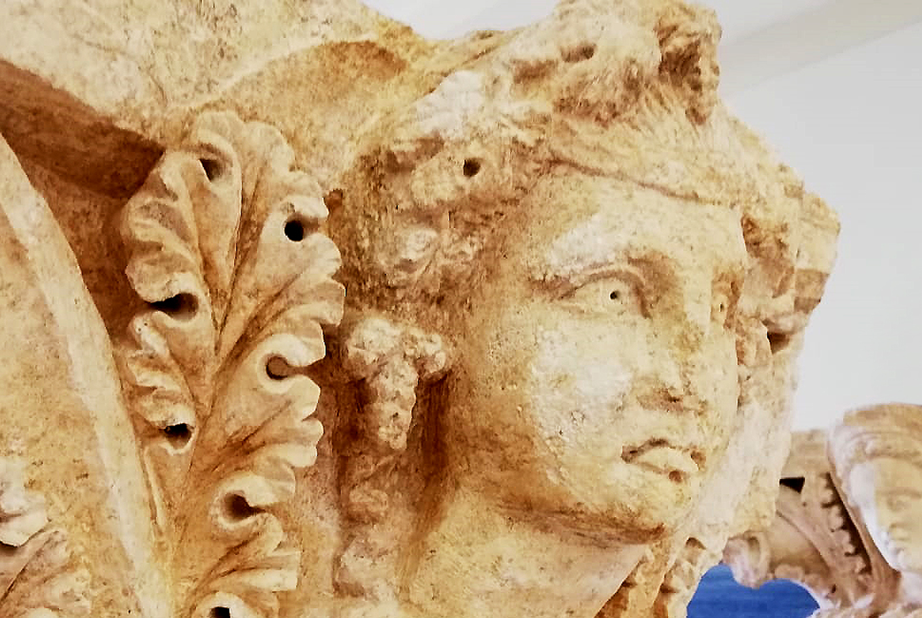 GEA 2024 - La cultura della Vite e del Vino raccontata attraverso la documentazione archeologica del Ribezzo
